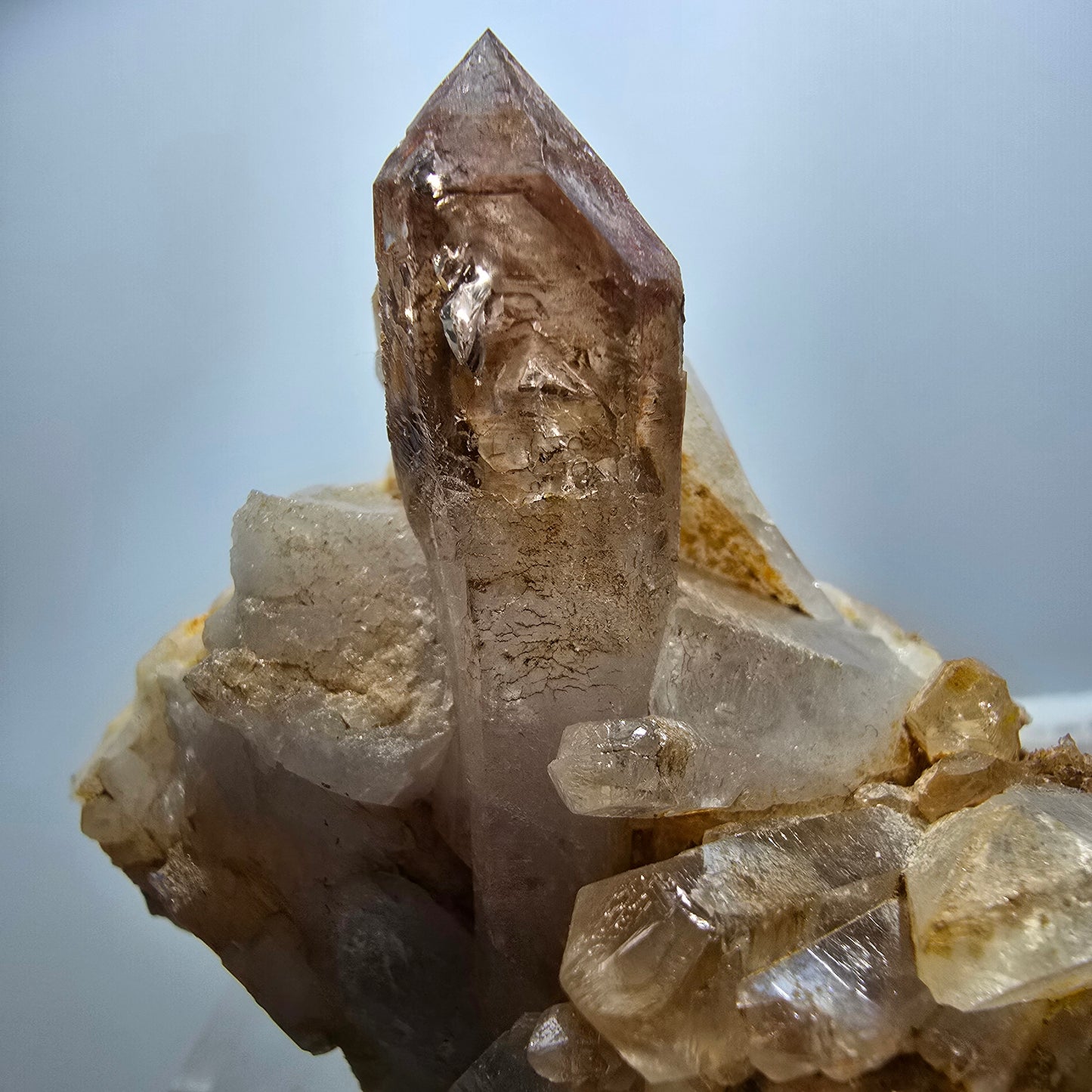 Seltene Phantom Rauchquarz Zepter Stufe Goboboseb, Namibia 59*55*42mm