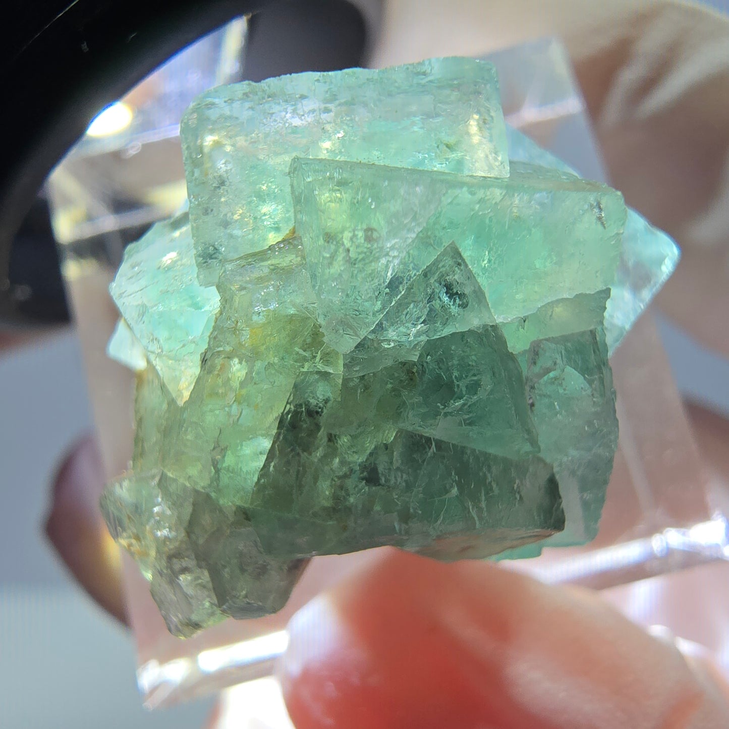 Phantom Fluorit Würfel Stufe, grün parkettiert Okorusu, Namibia 23*20*16mm