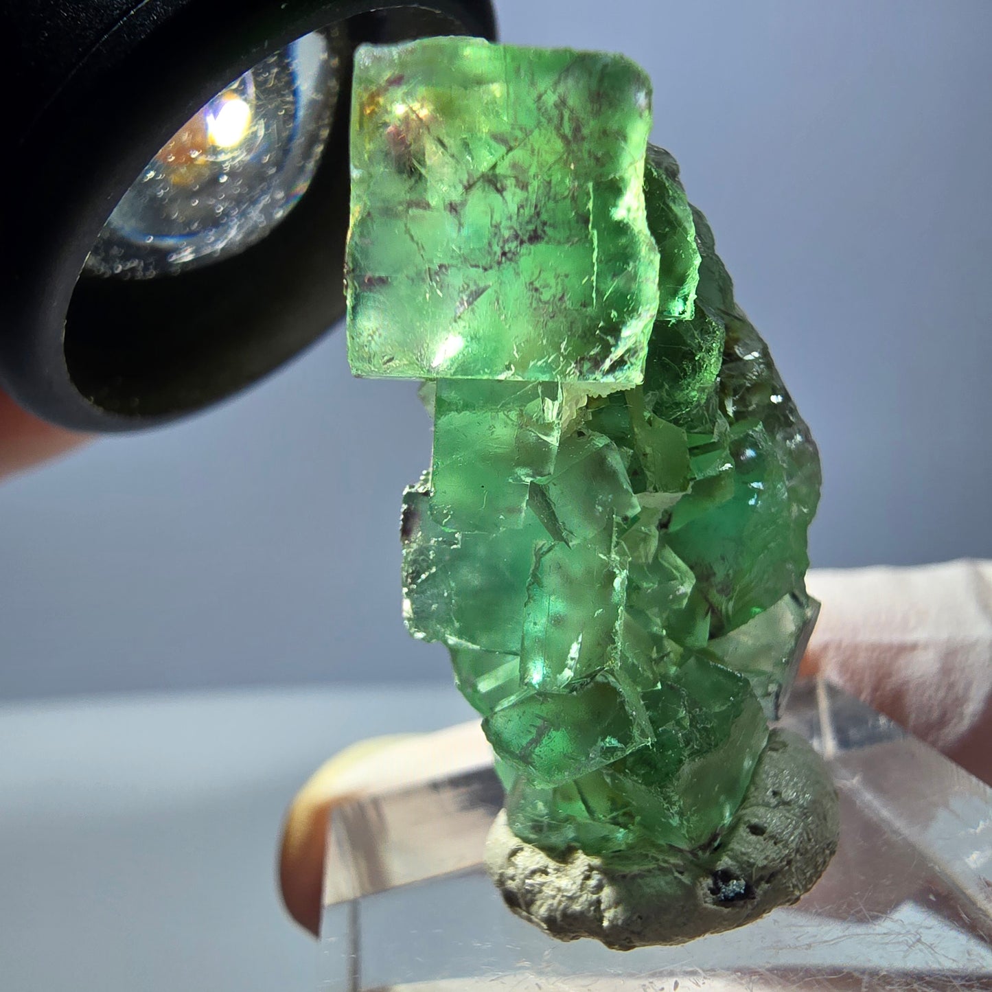 Spécimen de cube de fluorite fantôme, vert violet, Okorusu, Namibie, 34 x 27 x 13 mm