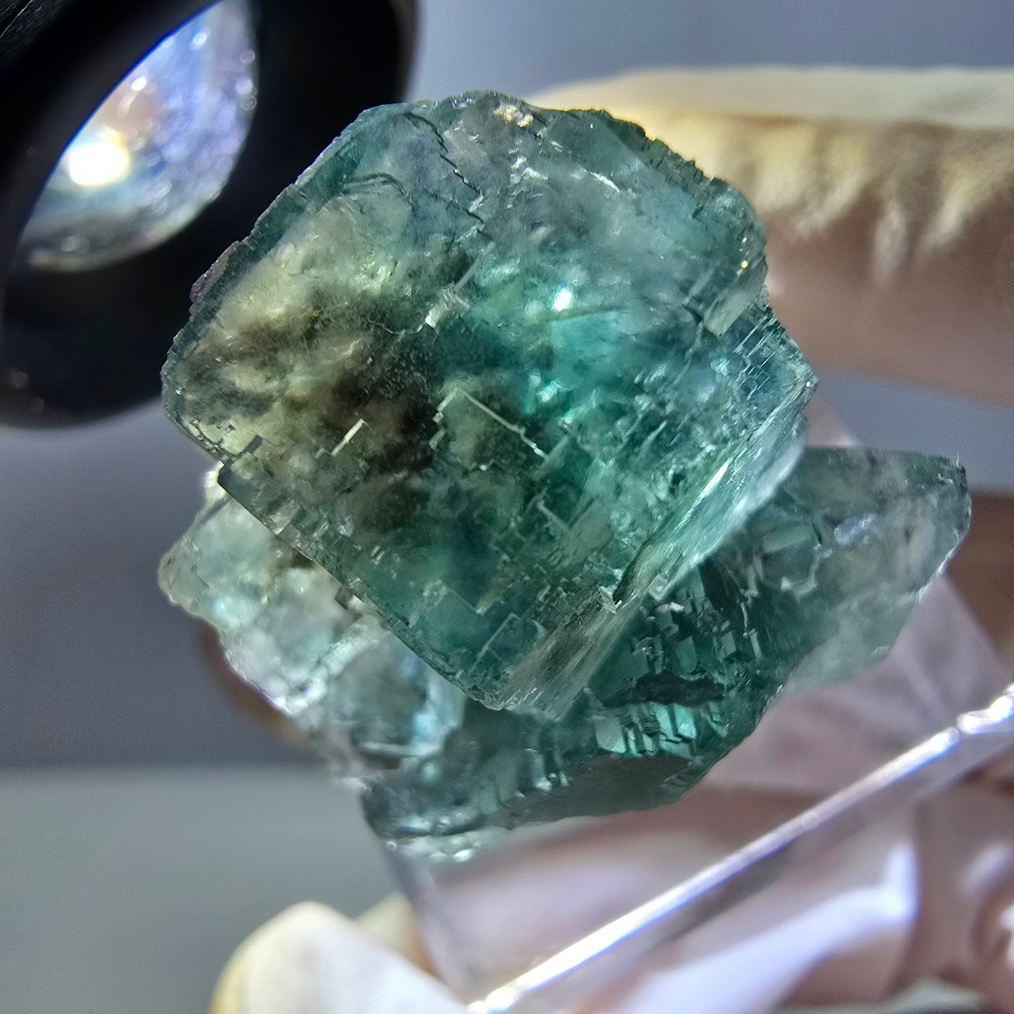 Spécimen de cube de fluorite fantôme, parquet vert Okorusu, Namibie 28 x 21 x 15 mm