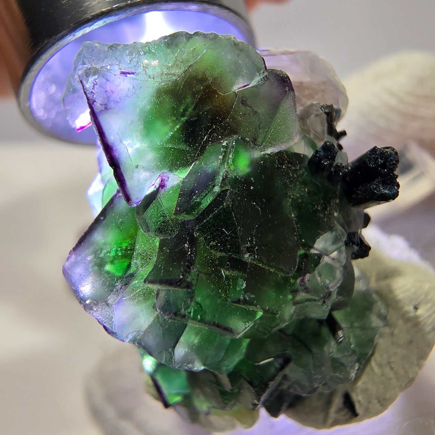 Fluorite fantôme zonale, muscovite, tourmaline Schörl, quartz fumé Erongo, Namibie 31*18*13mm