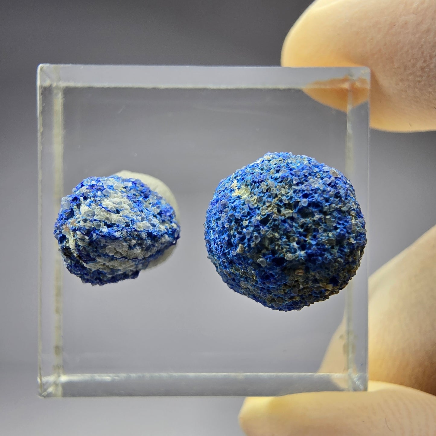 2x seltene Azurit Blueberry - Set 12,2mm + 9,2mm Durchmesser aus USA, New Mexico