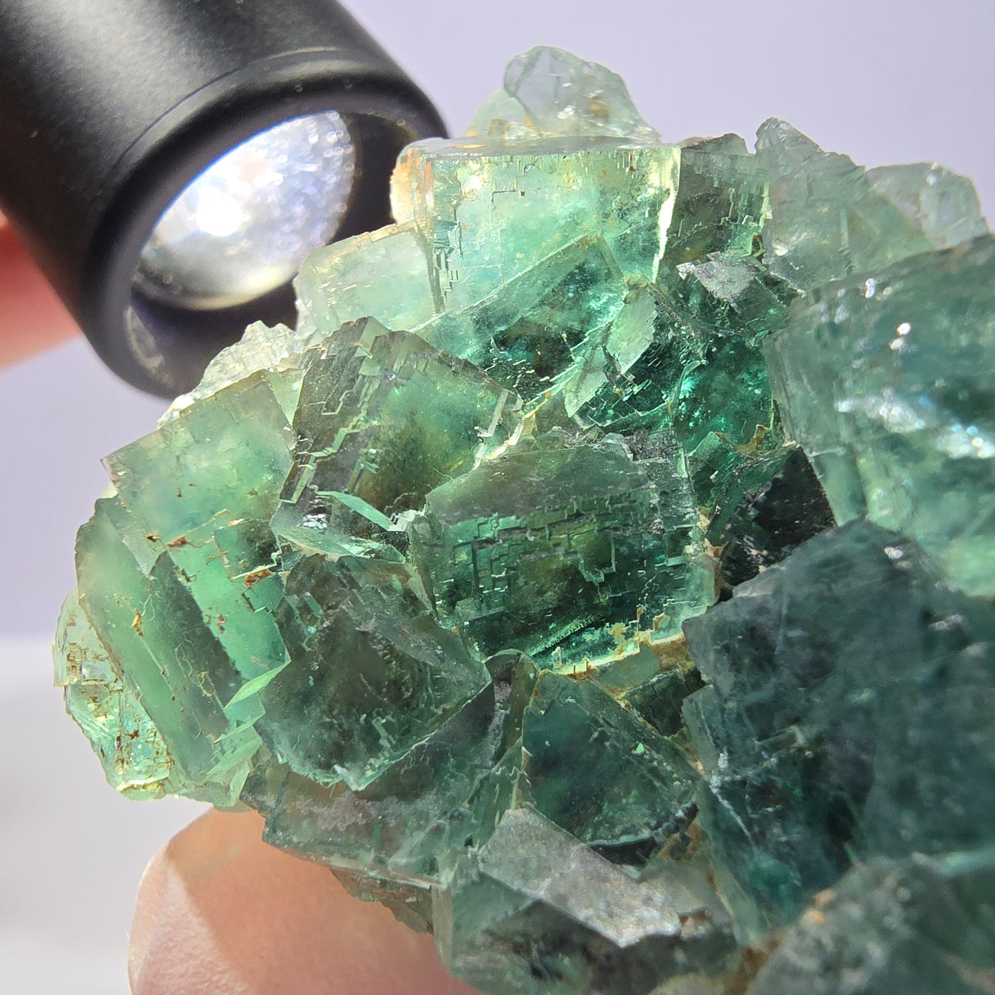 Spécimen de cube de fluorite fantôme transparente, vert parqueté, Okorusu, Namibie, 57 x 44 x 19 mm