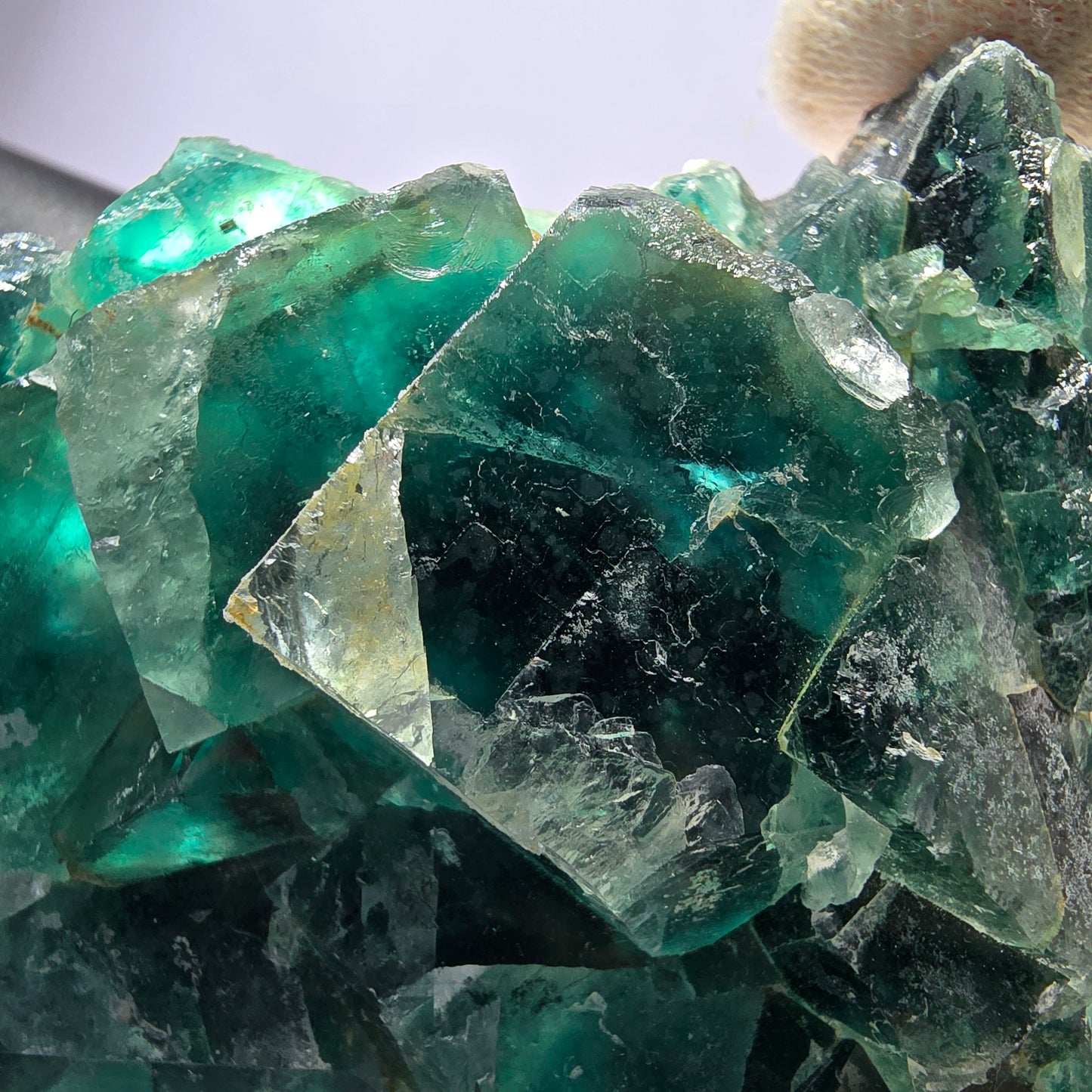 Rare spécimen de cube de fluorite fantôme, vert violet Okorusu Namibie 75*59*25 mm