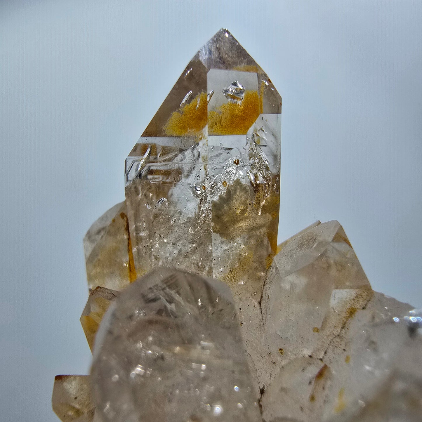 Enhydro Phantom Rauchquarz Zepter Stufe, 2x Blase Goboboseb, Namibia 51*42*29mm