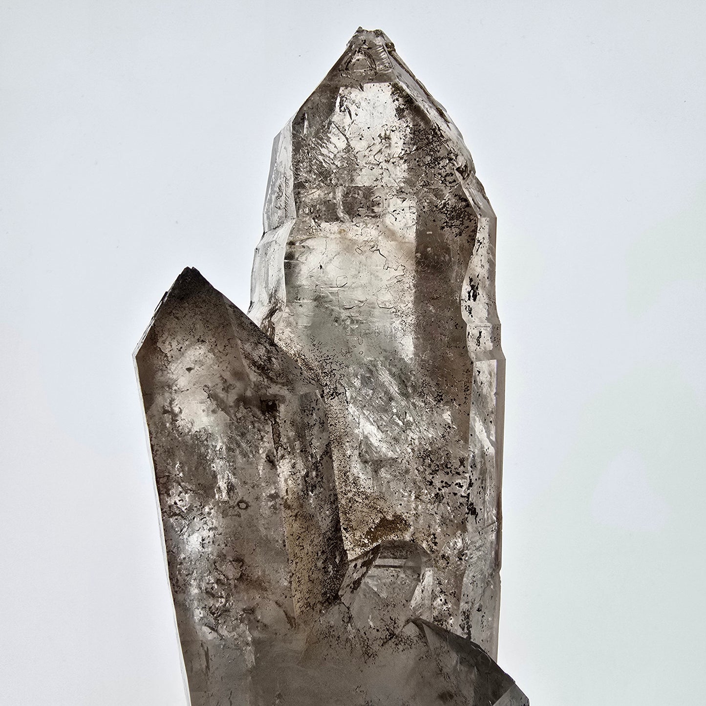 Sceptre XL Enhydro Skeleton Smoky Quartz DT, 4x Bubble Valentine Pocket, Namibie 233 x 54 x 47 mm