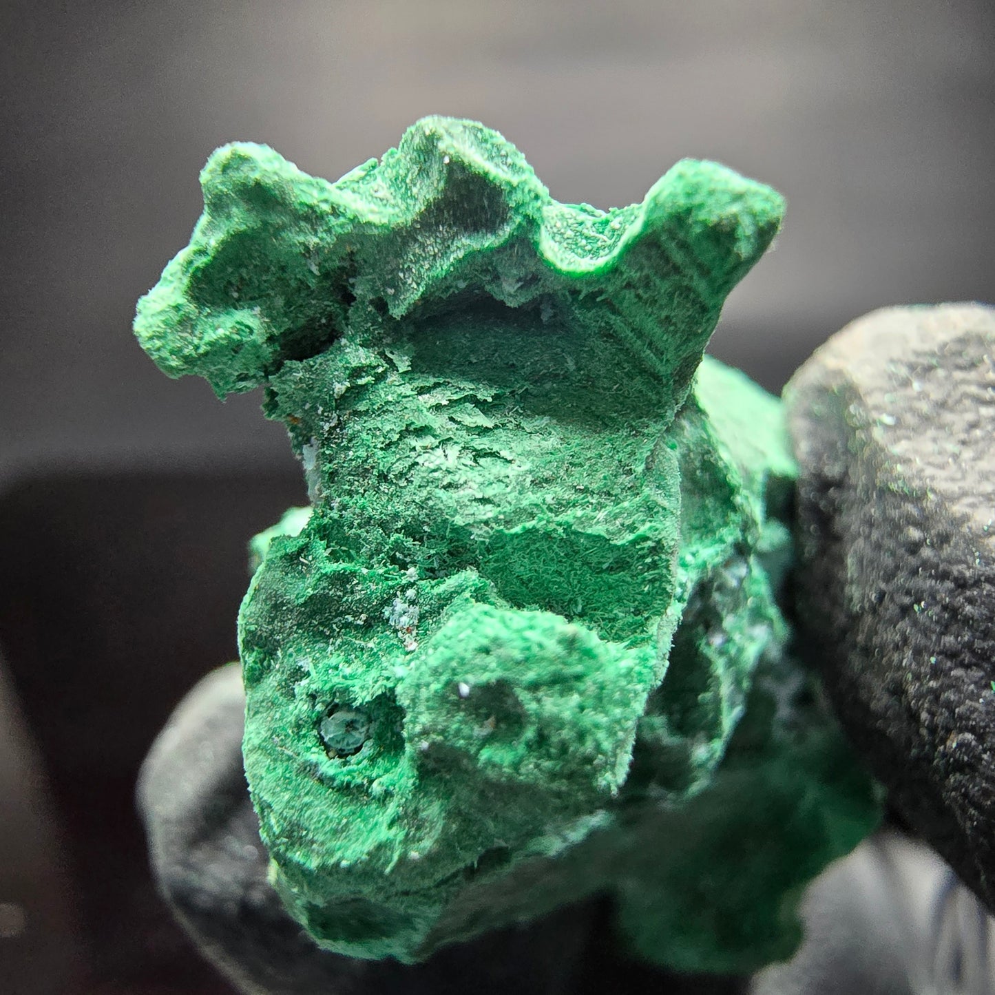 Seltene Malachit Stufe grün Kaokoveld, Namibia 37*23*16mm Mineraliensammlung