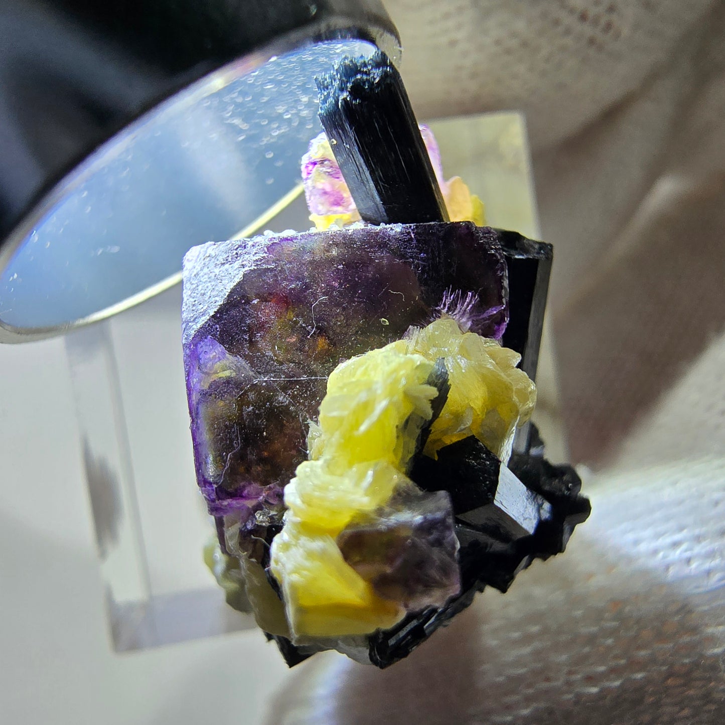 Spécimen de fluorite fantôme colorée, tourmaline scholle, muscovite, Erongo, Namibie, 25 x 20 x 16 mm
