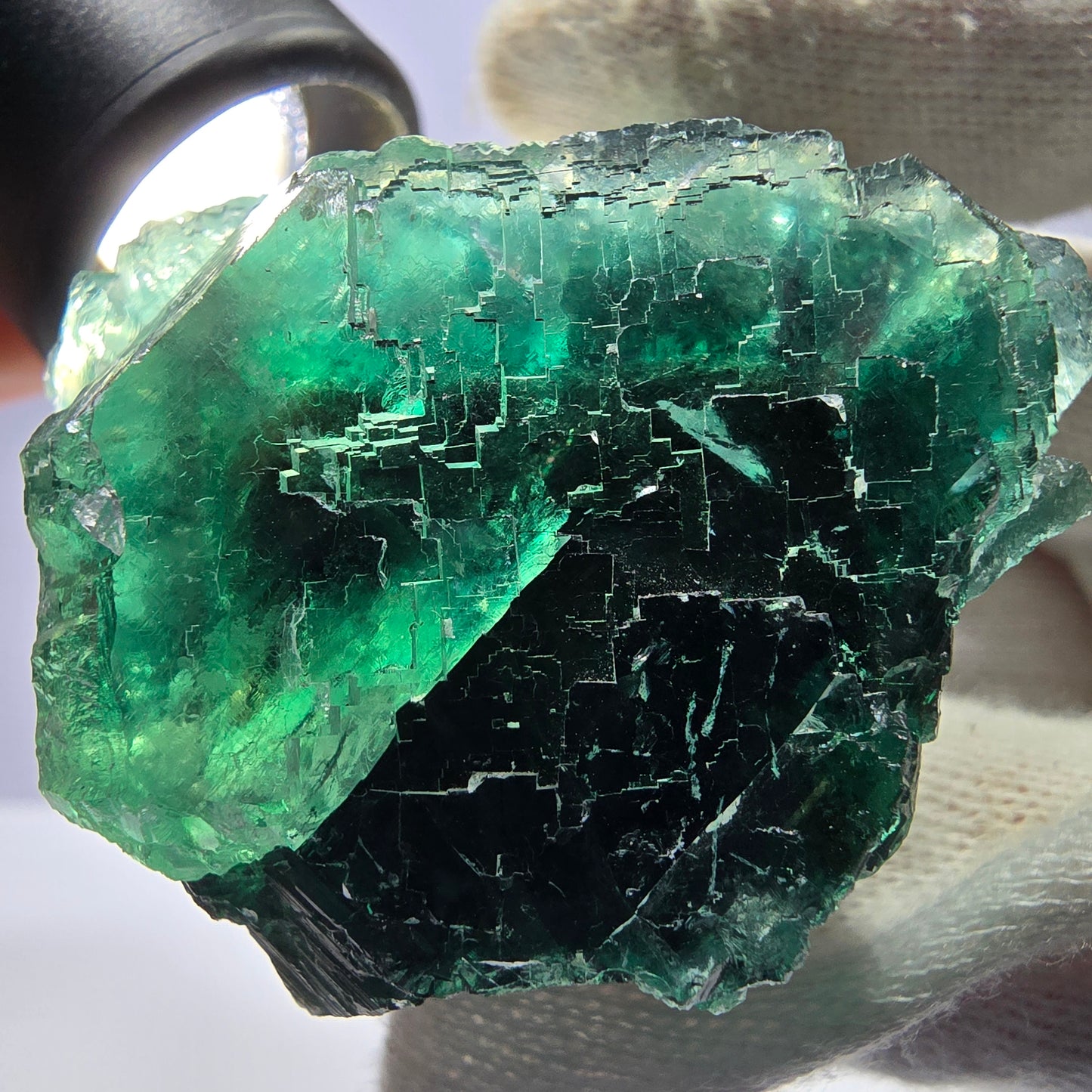Cube de fluorite fantôme parqueté vert violet Okorusu Namibie 65*61*37mm