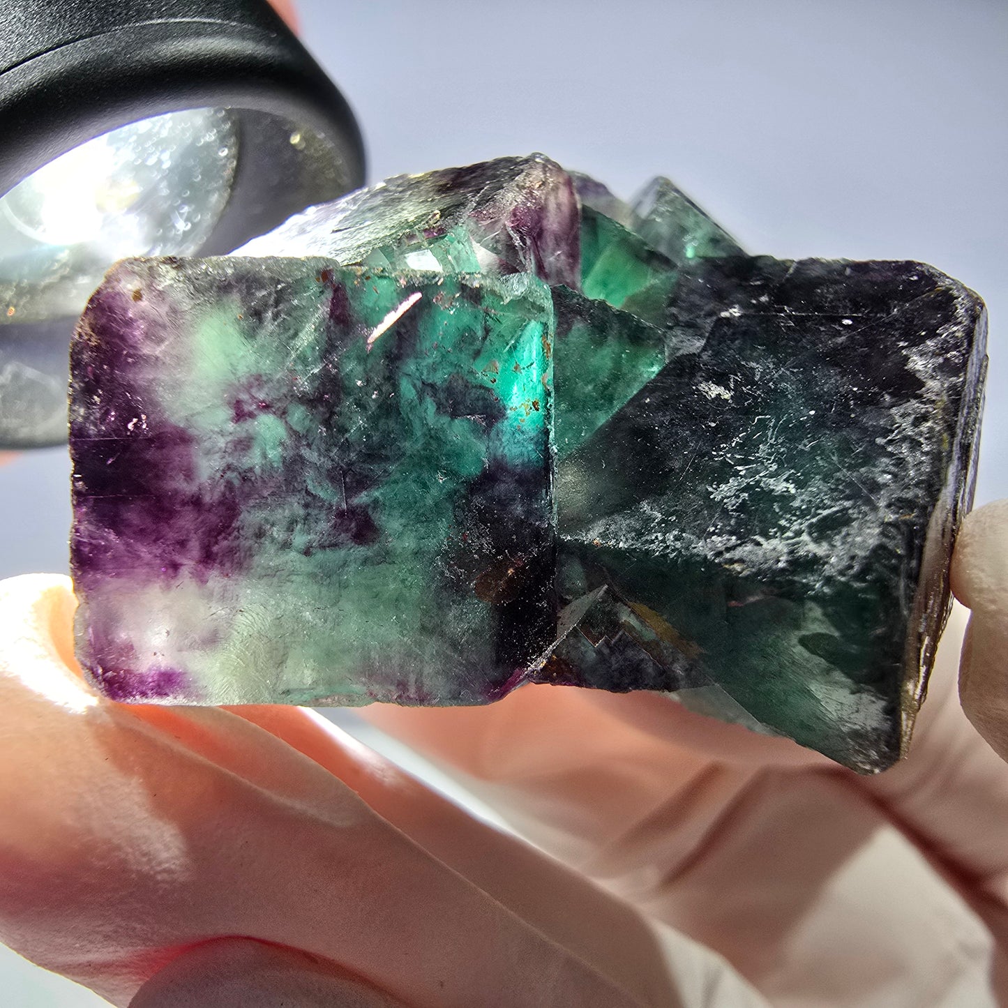 Spécimen de cube de fluorite fantôme parqueté vert violet Okorusu, Namibie 44*35*21mm