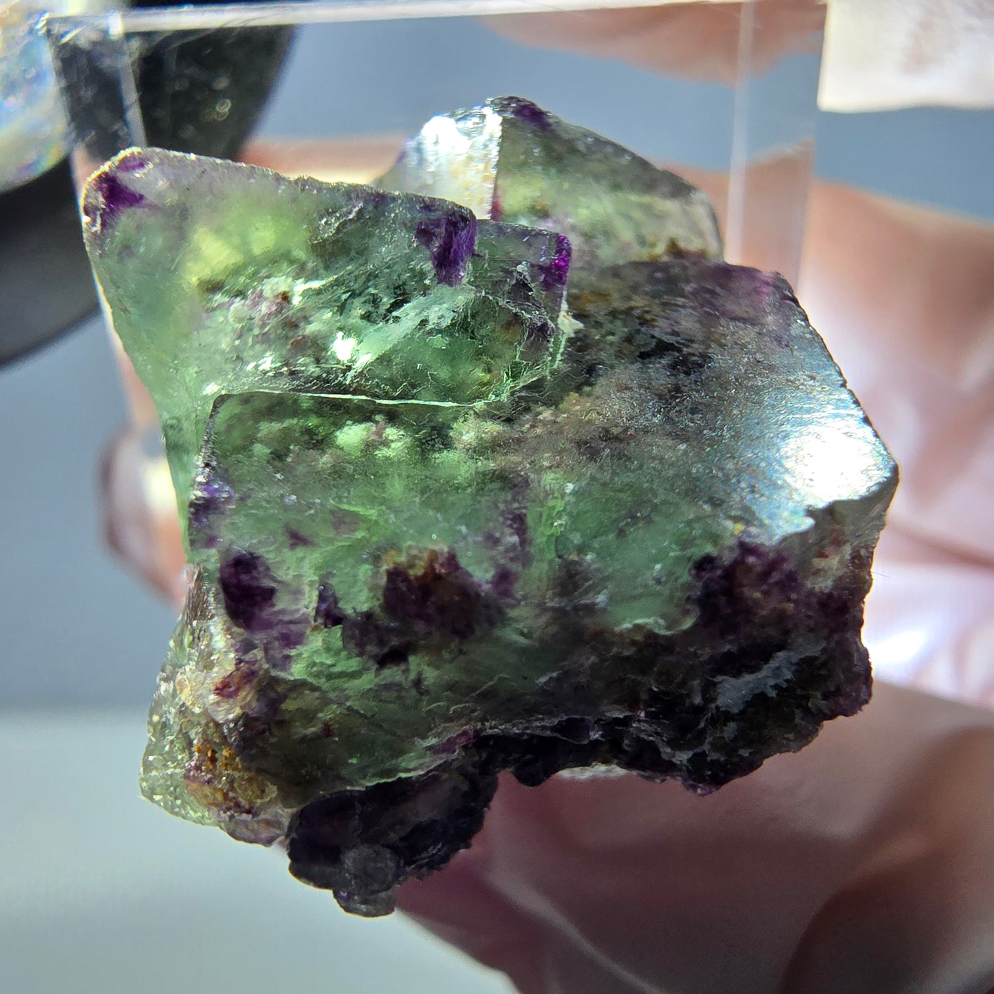 Spécimen de cube de fluorite fantôme, vert violet, Okorusu, Namibie, 24 x 20 x 20 mm