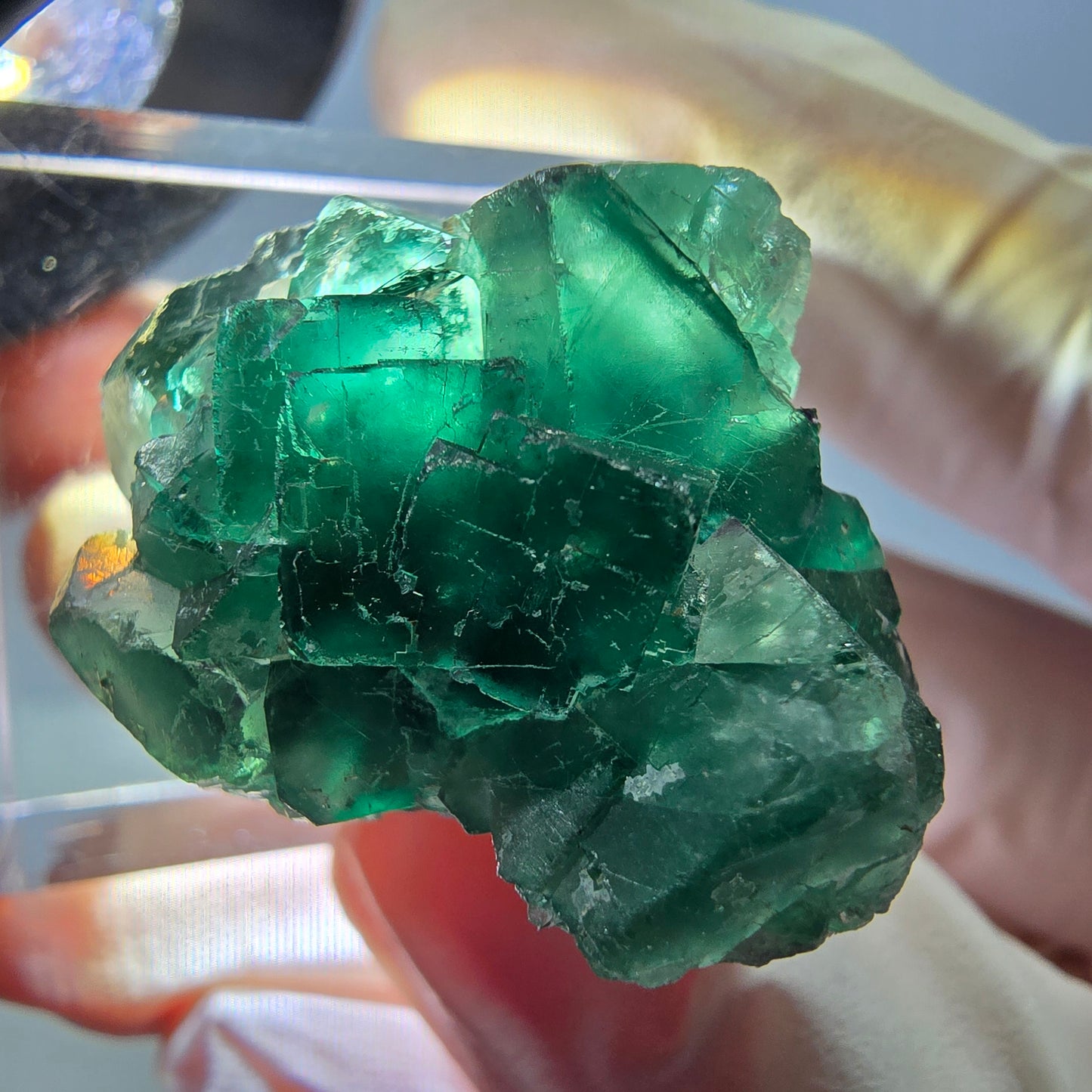Phantom Fluorit Würfel Stufe, grün parkettiert Okorusu, Namibia 28*24*18mm