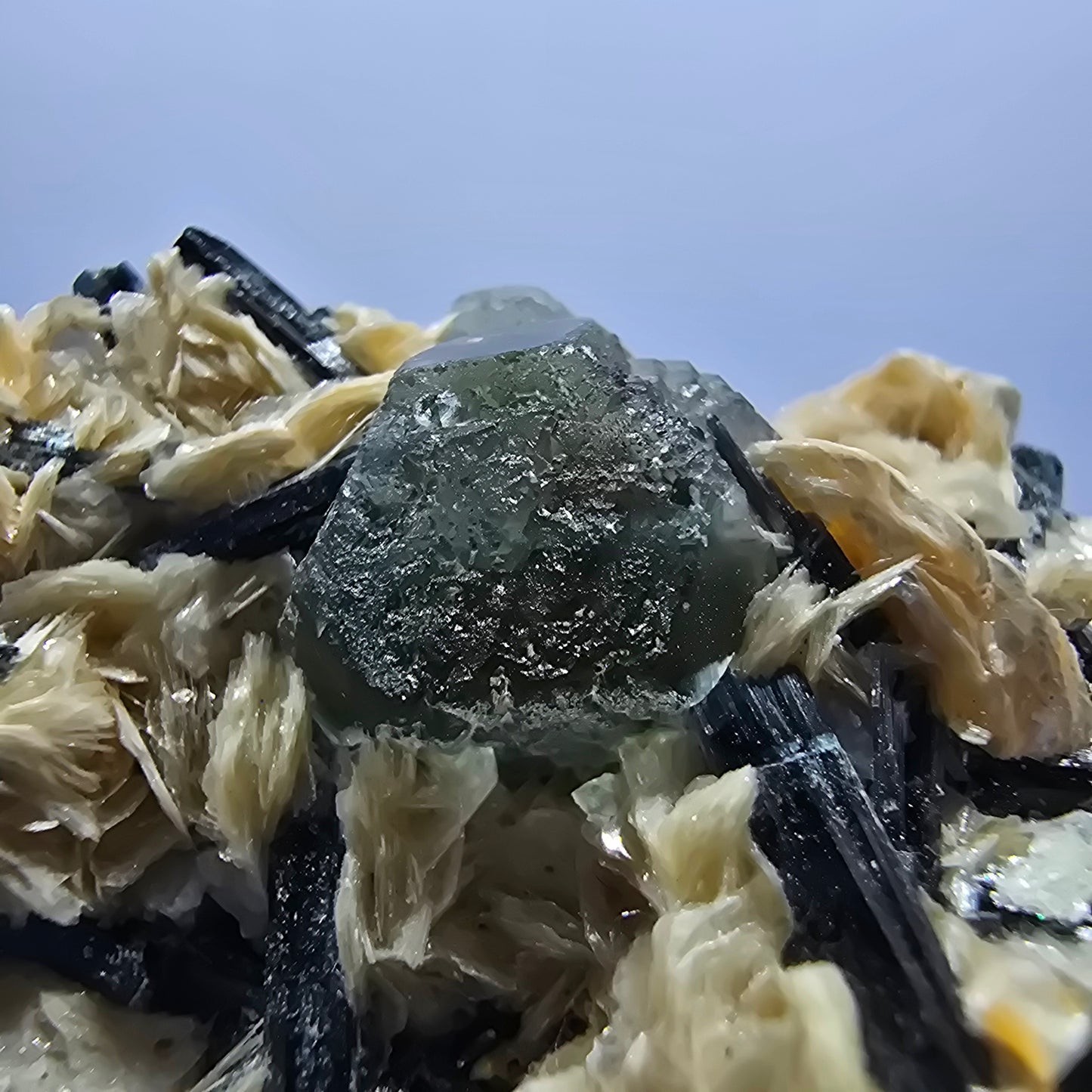 Phantom Fluorite hexagonal cubes Schörl Tourmaline Muscovite Erongo, Namibia 60*44*38mm