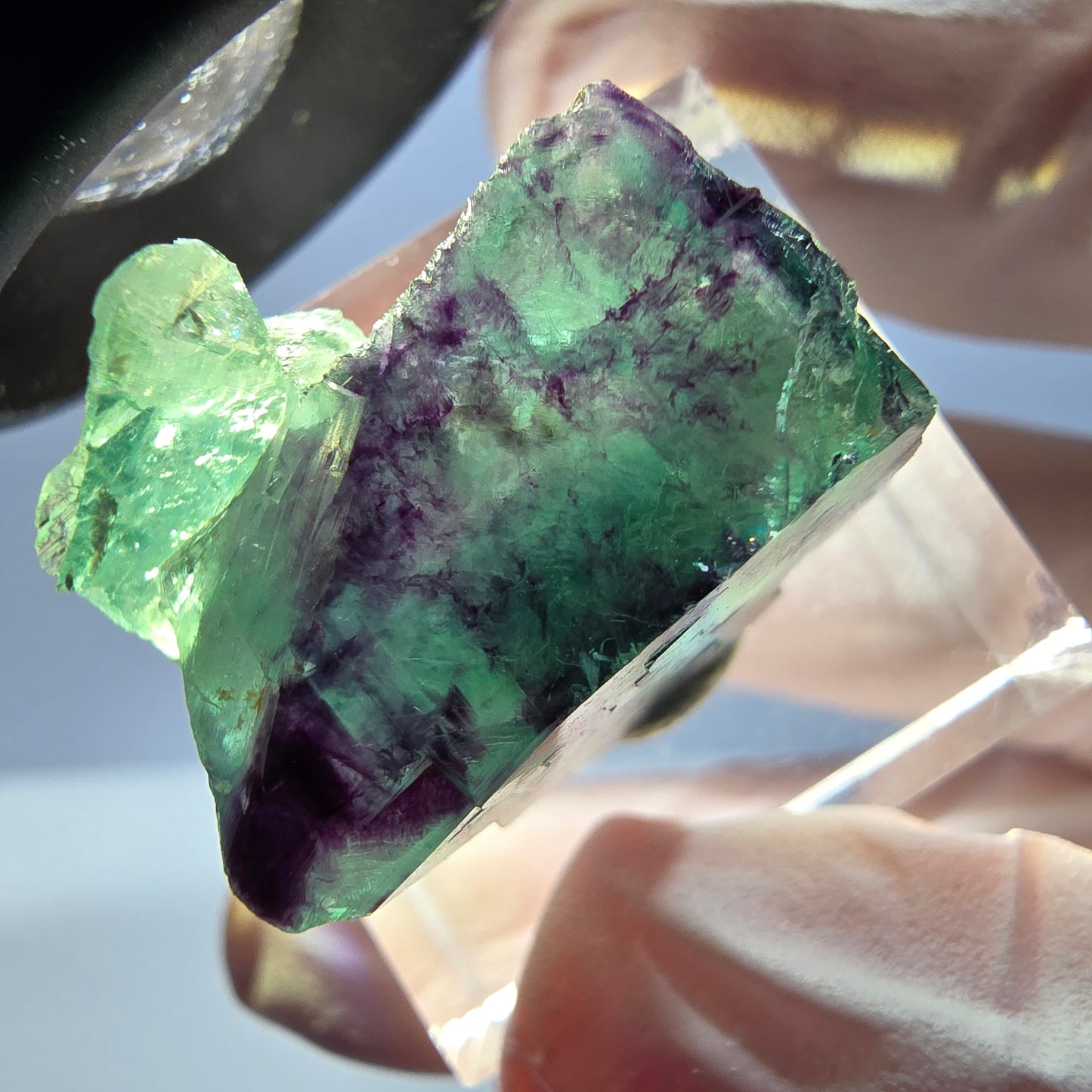 Spécimen de cube de fluorite fantôme, parqueté vert violet Okorusu, Namibie 21*18*16 mm
