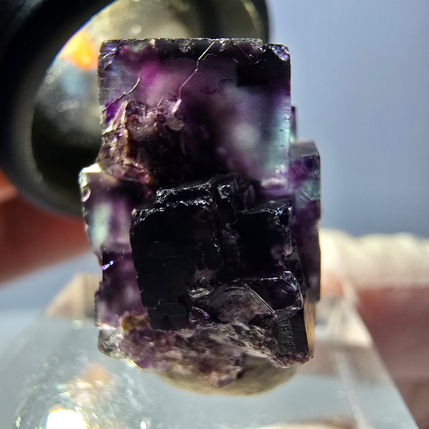 Spécimen de cube de fluorite fantôme, parqueté vert violet Okorusu, Namibie 22 x 20 x 14 mm