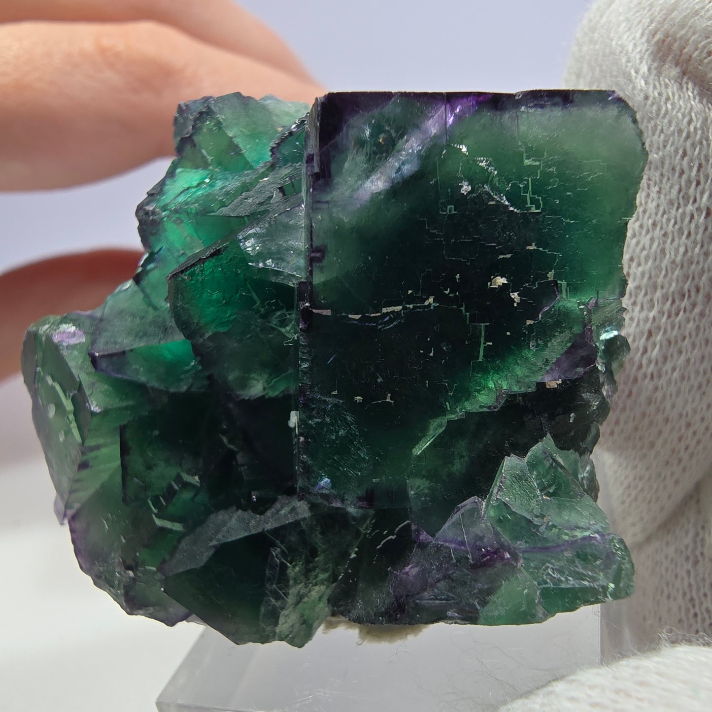 Phantom Fluorit Würfel Stufe parkettiert zonal Okorusu, Namibia 50*40*28mm