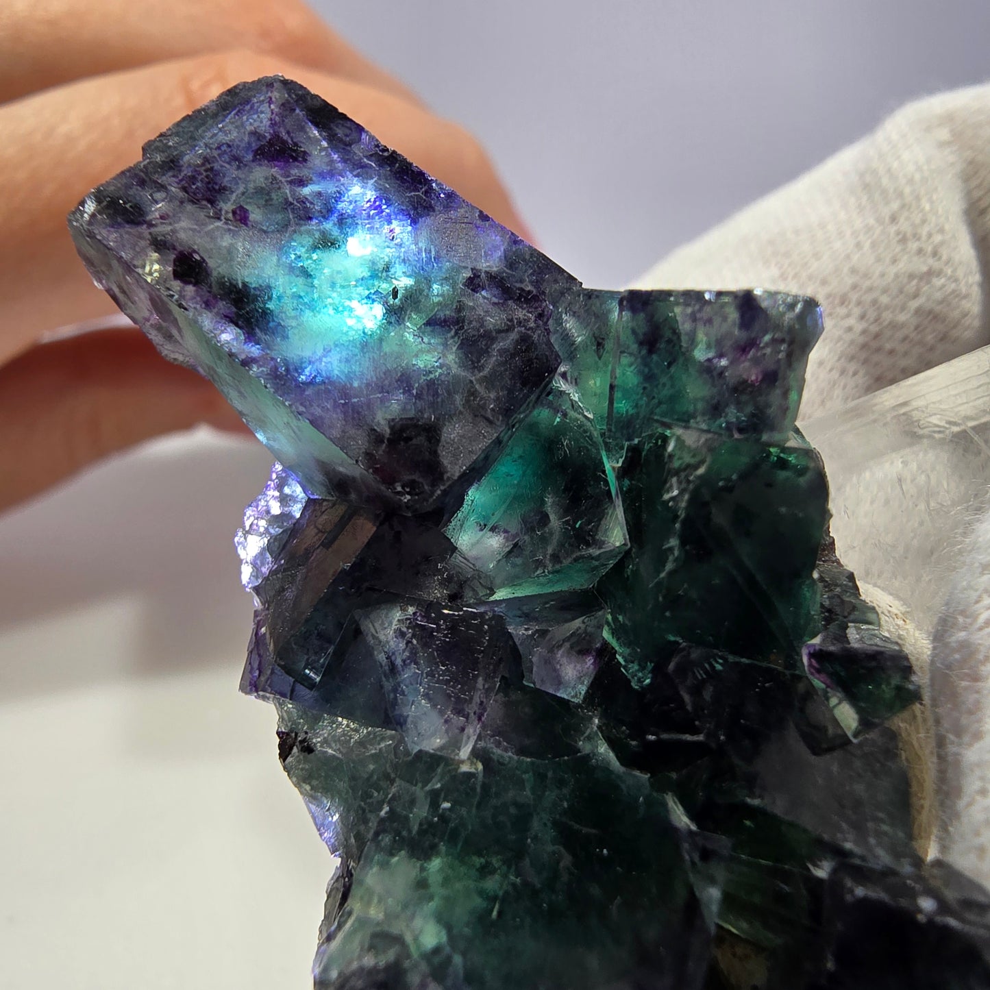 Spécimen de cube de fluorite fantôme transparente, vert-violet zonal, Okorusu, Namibie, 57 x 32 x 18 mm