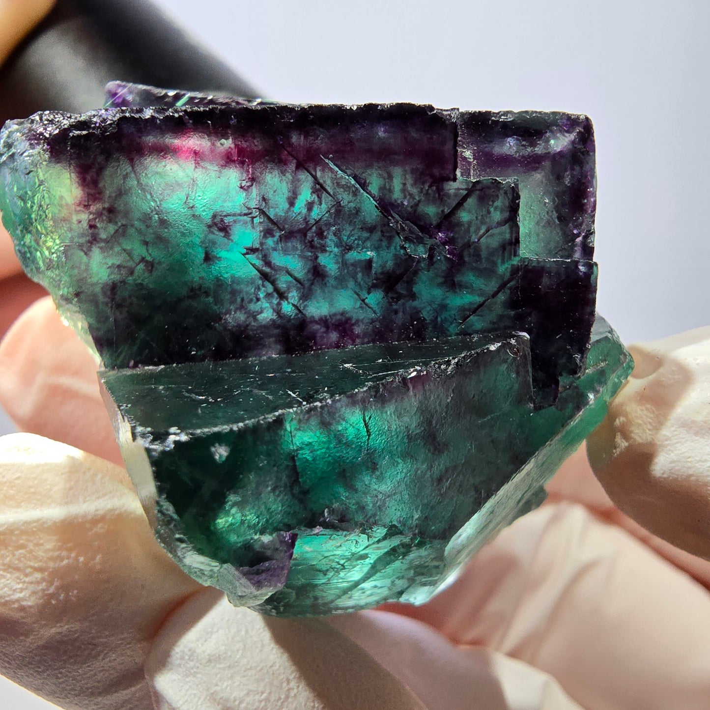 Spécimen de cube de fluorite fantôme, parqueté vert violet Okorusu, Namibie 41*41*25 mm