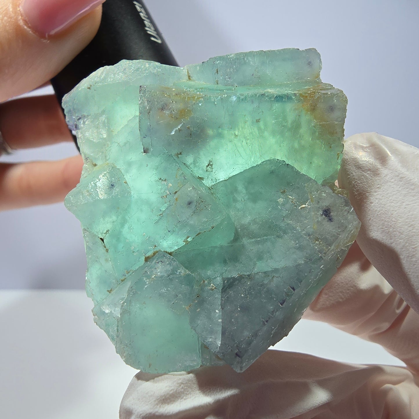 Rare spécimen de cube de fluorite fantôme, parqueté vert Okorusu, Namibie, 51 x 47 x 21 mm
