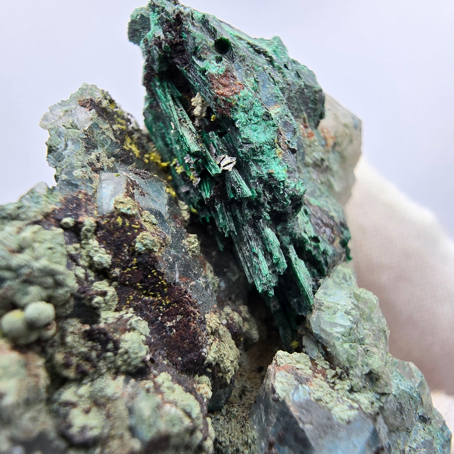 Spécimen rare de malachite, chrysocolle sur quartz Kaokoveld, Namibie 56*45*18mm