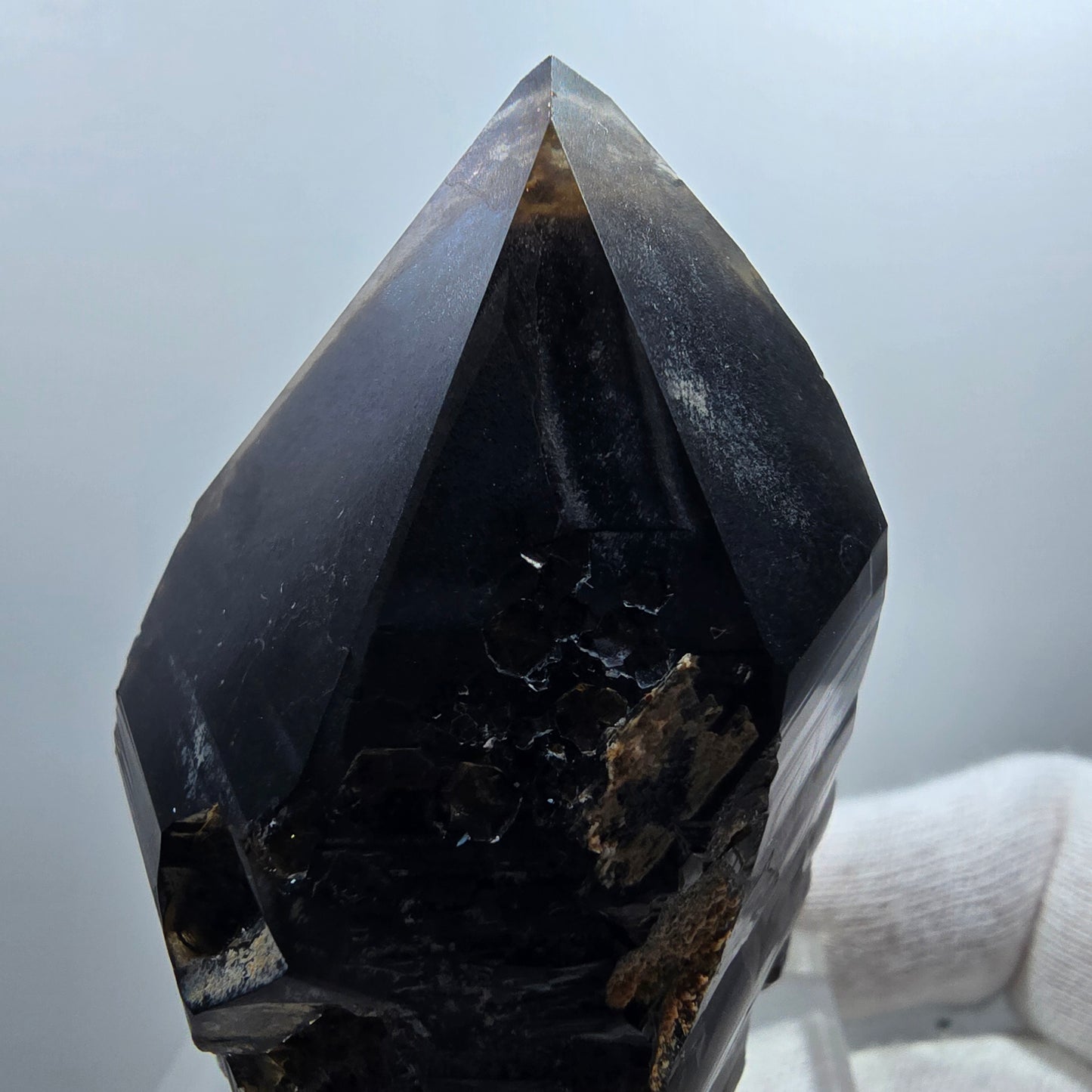 Sceptre de poche en quartz fumé squelette fantôme lémurien, Goboboseb de la Saint-Valentin, Namibie, 66 x 41 x 36 mm