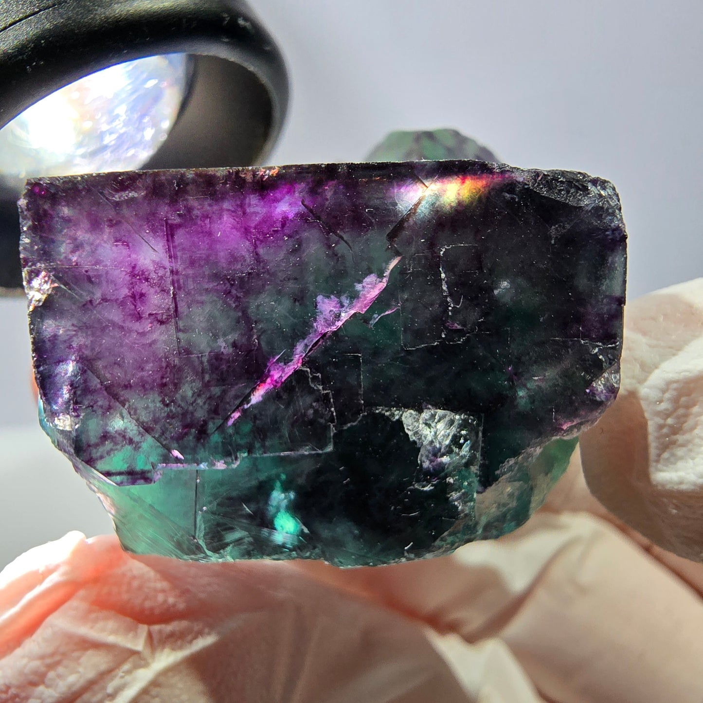 Spécimen de cube de fluorite fantôme, parqueté vert violet Okorusu, Namibie 36*31*29 mm