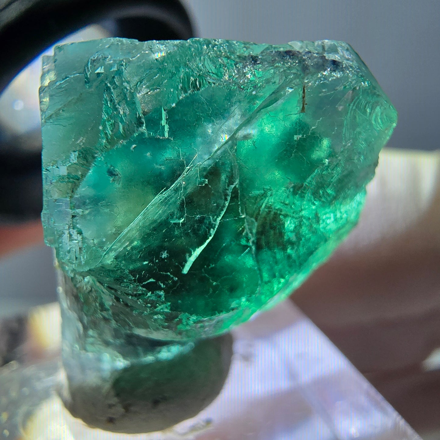 Cube de fluorite fantôme transparente parquetée, vert Okorusu, Namibie 23 x 21 x 19 mm