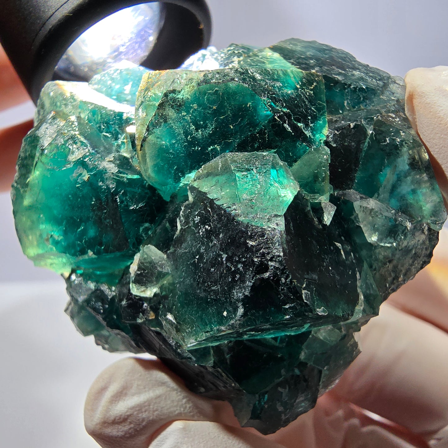Spécimen de cube de fluorite fantôme, parqueté vert violet Okorusu, Namibie 53*49*28 mm