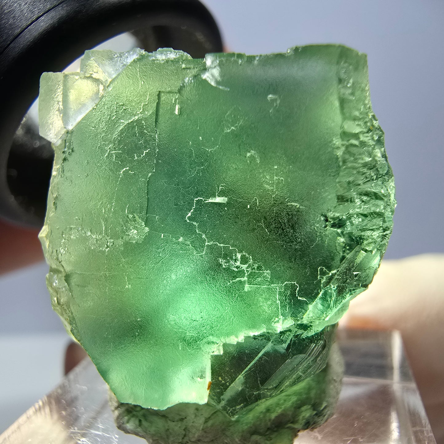 Seltene Phantom Fluorit Würfel Stufe, grün Okorusu, Namibia 25*23*22mm