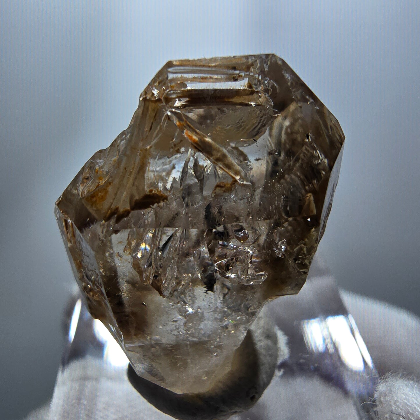 Phantom Rauchquarz DT Skelett Zepter Kristall Goboboseb, Namibia 28*21*13mm