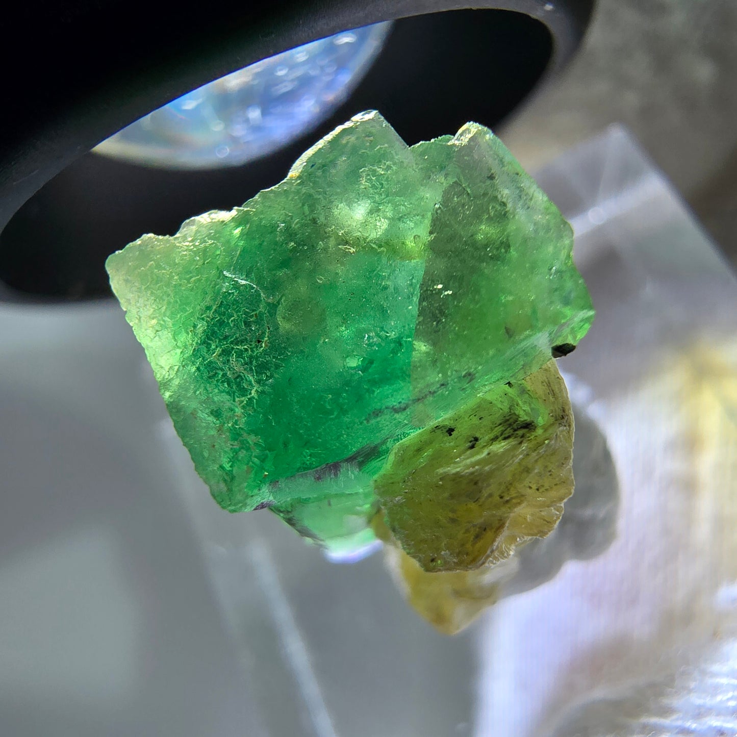 Cube de fluorite fantôme zonal, spécimen de muscovite, Erongo, Namibie, 19 x 13 x 11 mm
