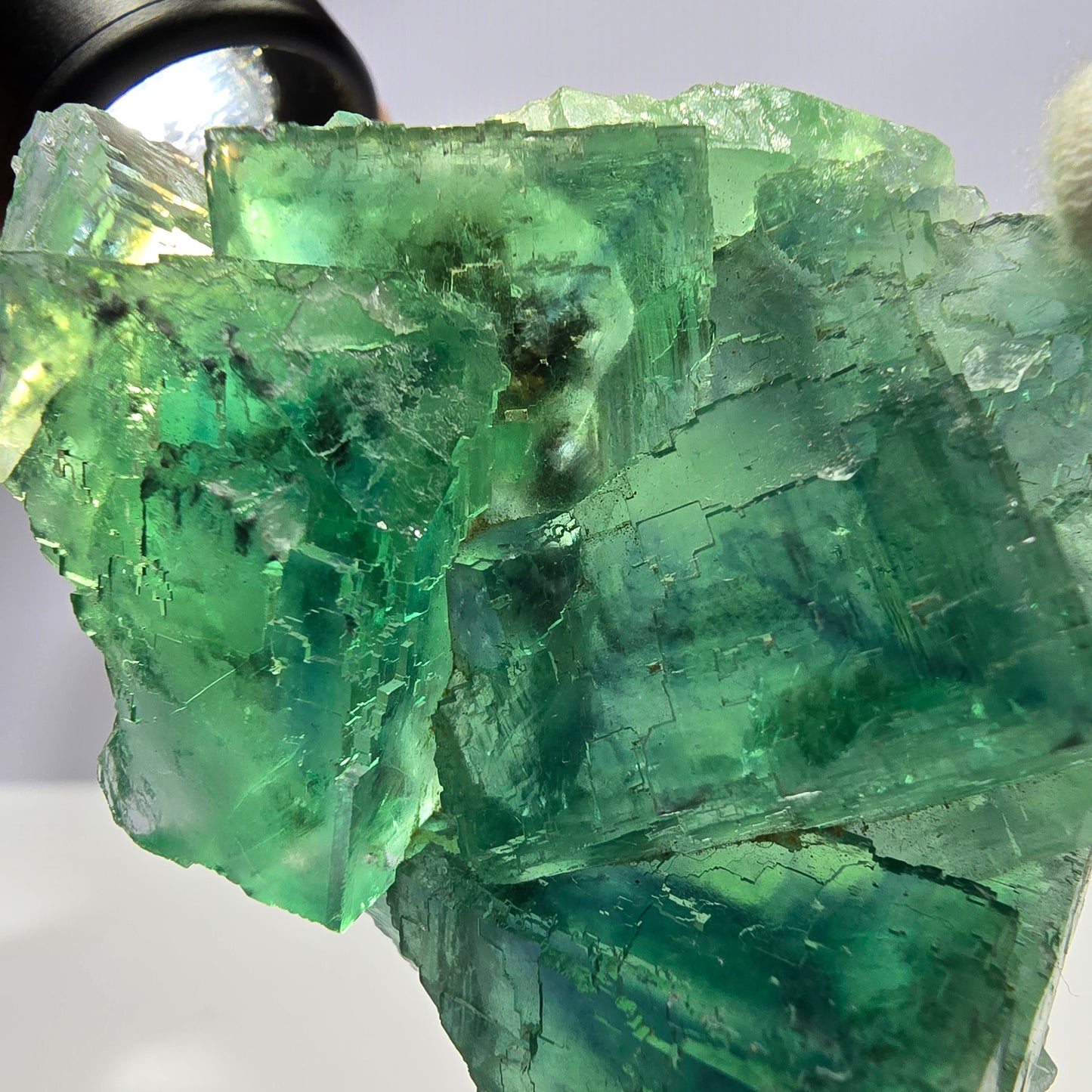 Rare Phantom Fluorite Cube Specimen Parquetted Green Okorusu Namibia 69*54*23mm