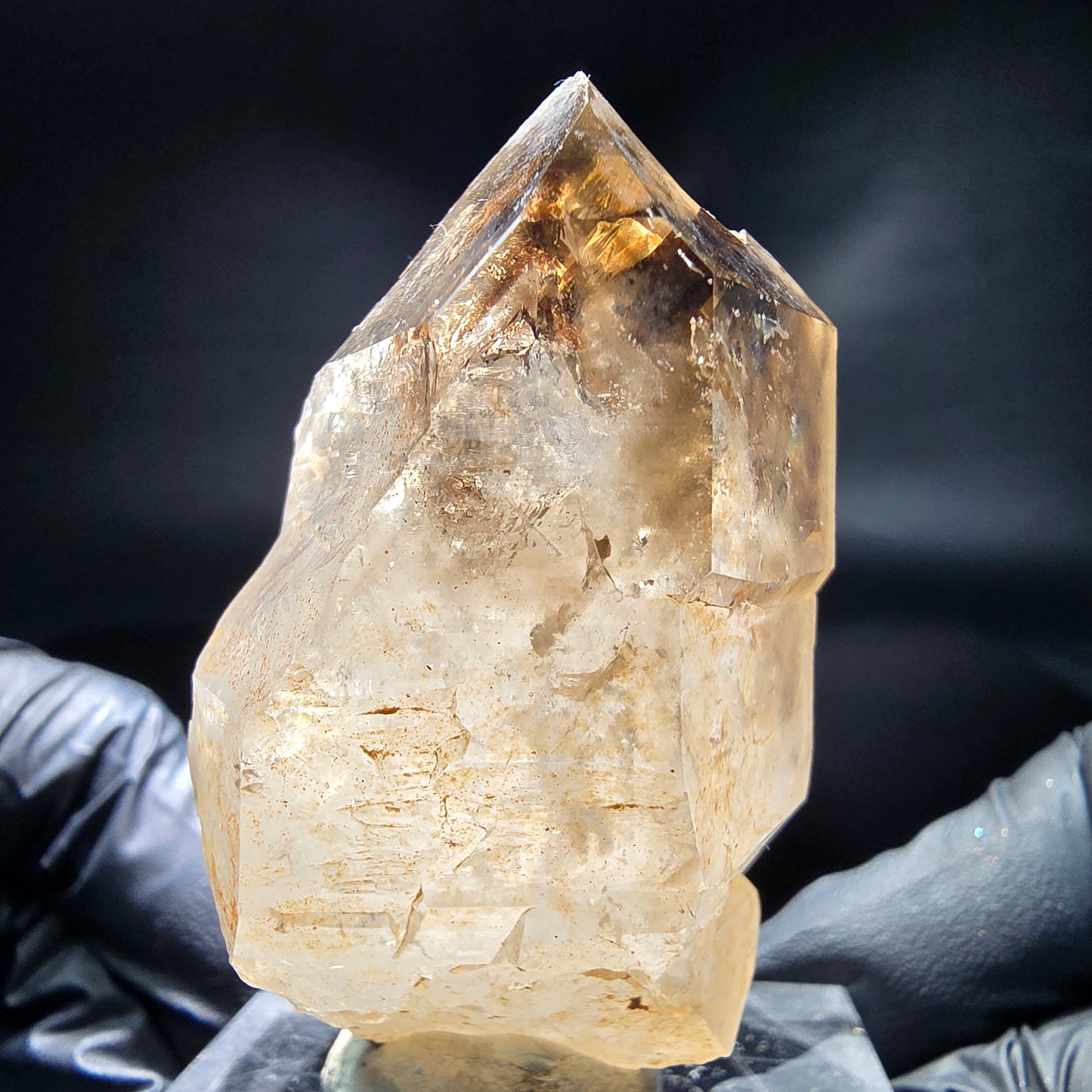 Enhydro Phantom Smoky Quartz Sceptre Tip 2x Bubble Goboboseb, Namibie 64*37*30mm