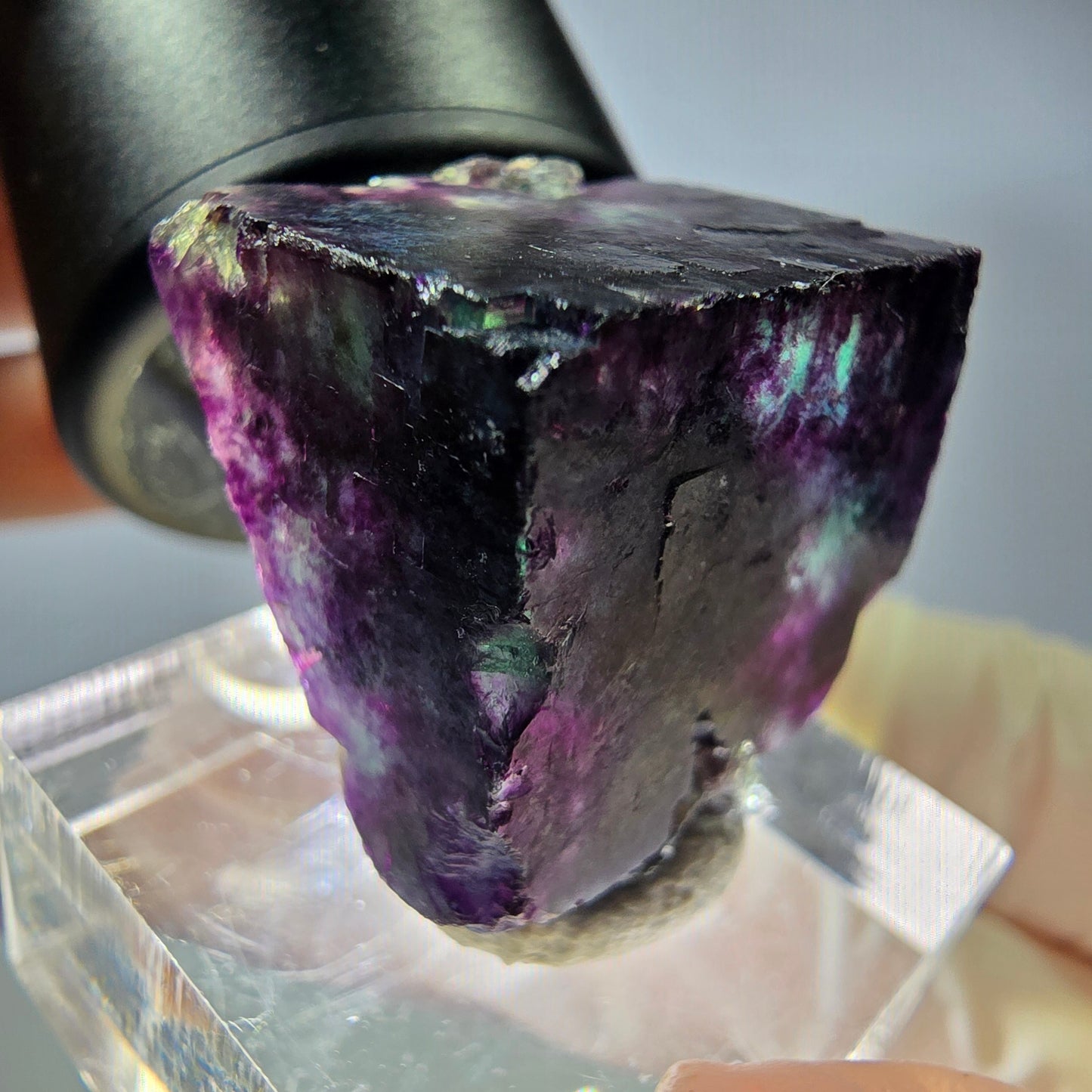 Rare cube de fluorite fantôme parqueté vert violet Okorusu Namibie 22*22*19mm