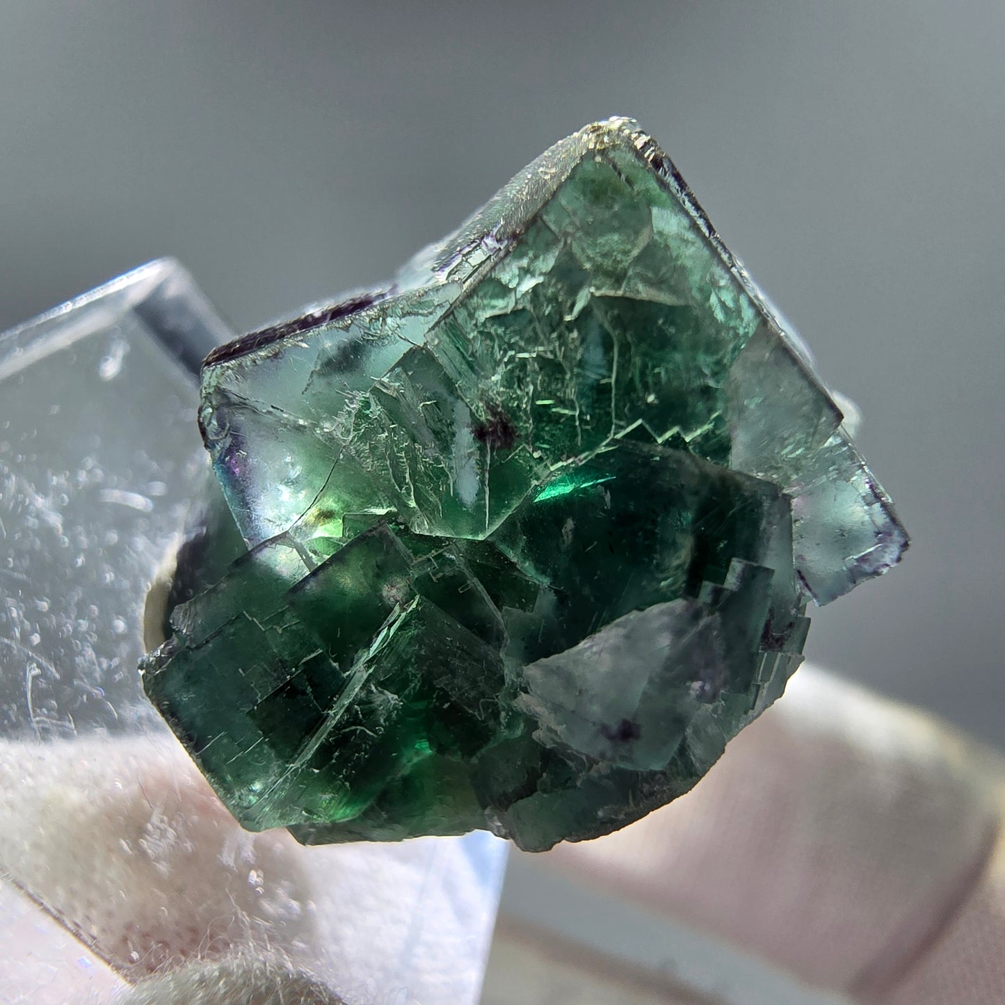 Seltene Phantom Fluorit Würfel Stufe grün Erongo, Namibia 25*22*15mm Sammlung