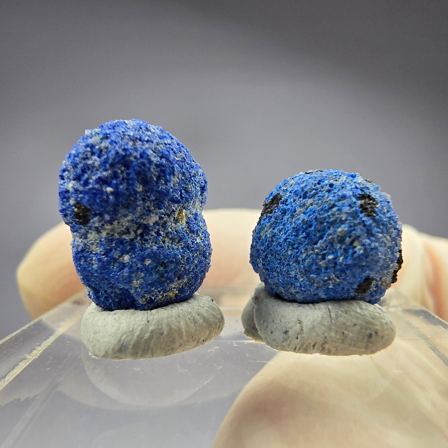 2x seltene Azurit Blueberry - Set 12,1mm + 9,2mm Durchmesser aus USA, New Mexico