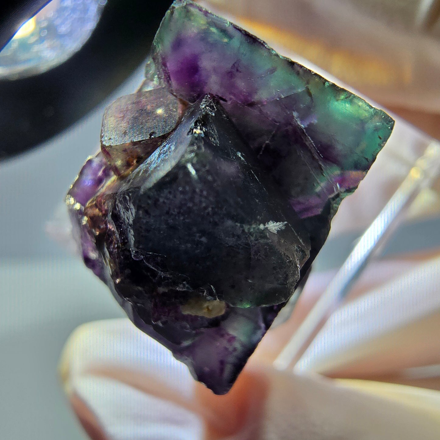 Phantom Fluorit Würfel Stufe, parkettiert grün lila Okorusu, Namibia 27*19*16mm