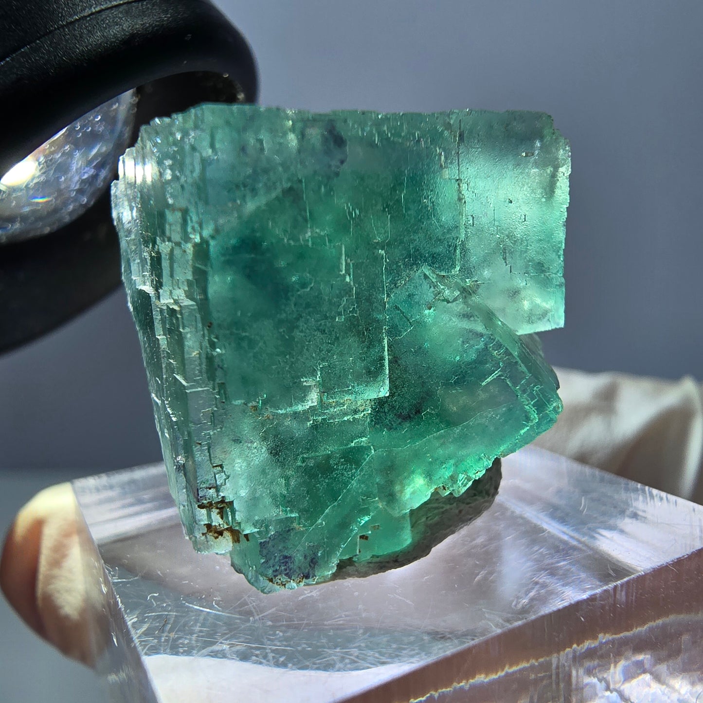 Spécimen de cube de fluorite fantôme, parquet vert Okorusu, Namibie 22 x 21 x 16 mm