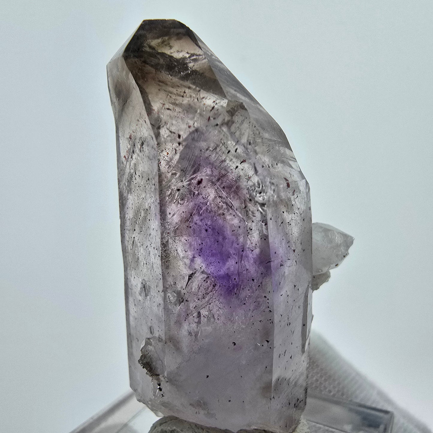 Harlekin Phantom Amethyst Zepter Stufe Goboboseb, Namibia 40*22*16mm, Sammlung