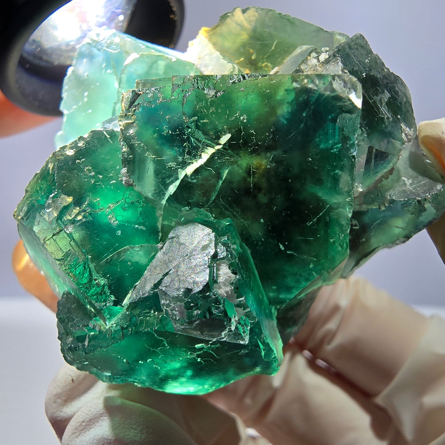 Spécimen de cube de fluorite fantôme transparente, parqueté vert Okorusu, Namibie 54 x 50 x 36 mm