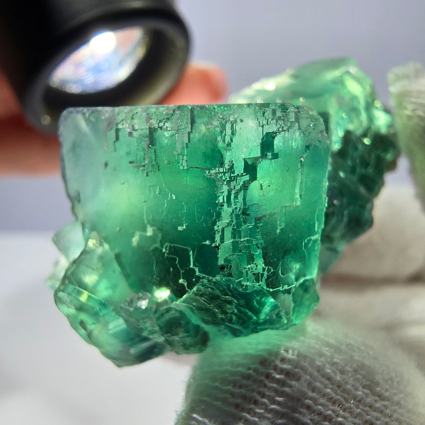 Rare spécimen de cube de fluorite fantôme, parqueté vert Okorusu, Namibie, 50 x 34 x 23 mm