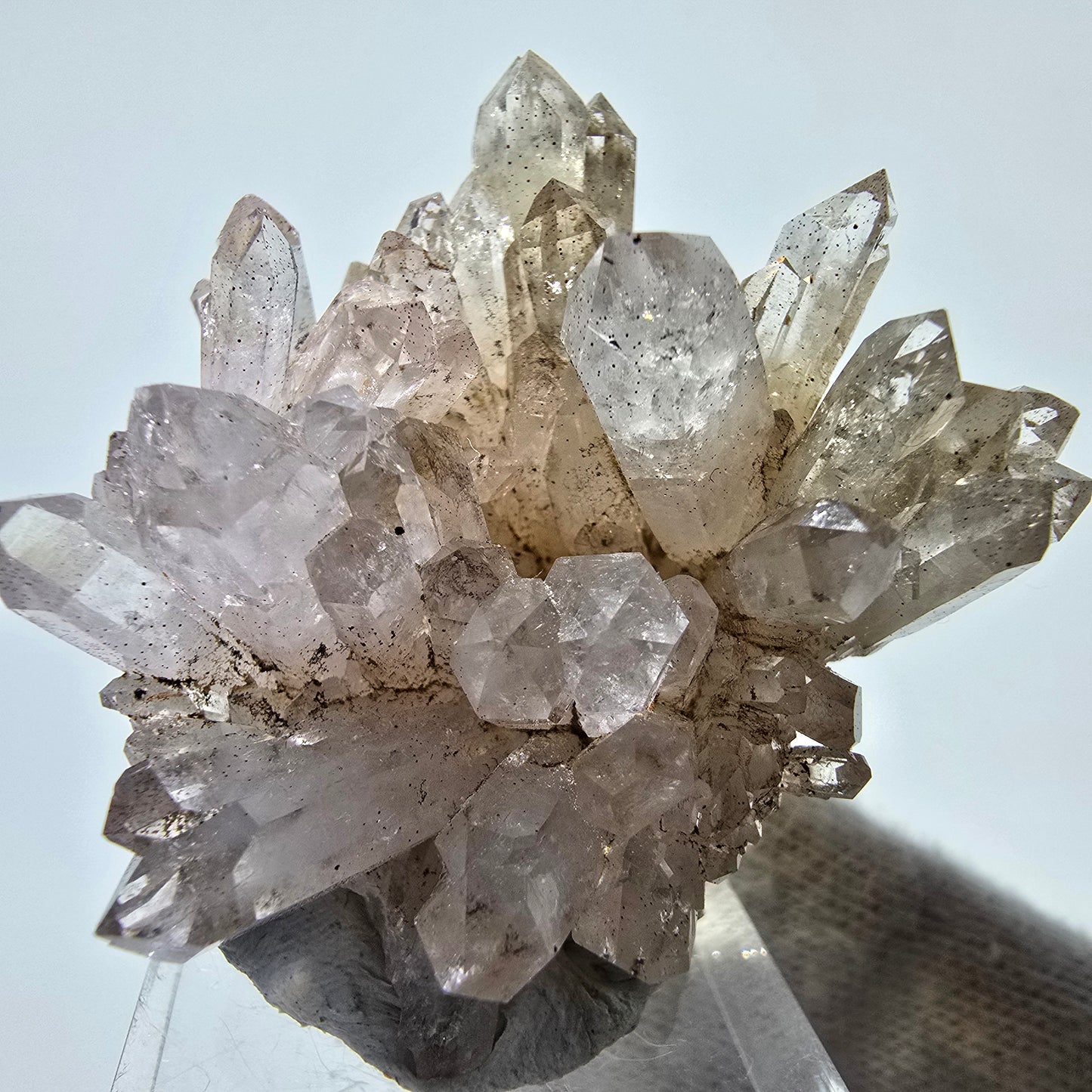 Phantom Smoky Quartz Scepter Cluster Valentine Pocket, Namibia 46*43*25mm
