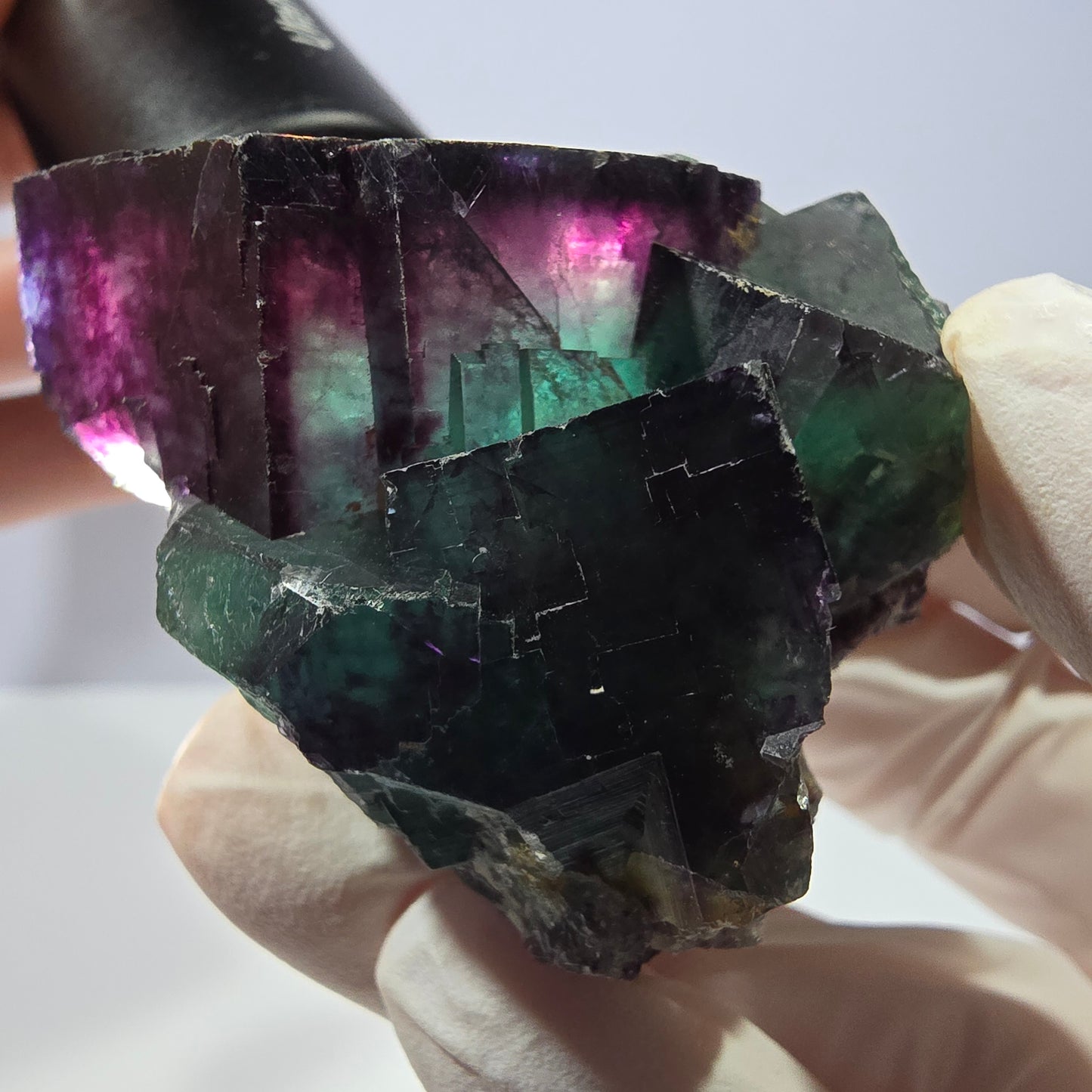 Spécimen de cube de fluorite fantôme, parqueté vert violet Okorusu, Namibie 56*51*45 mm