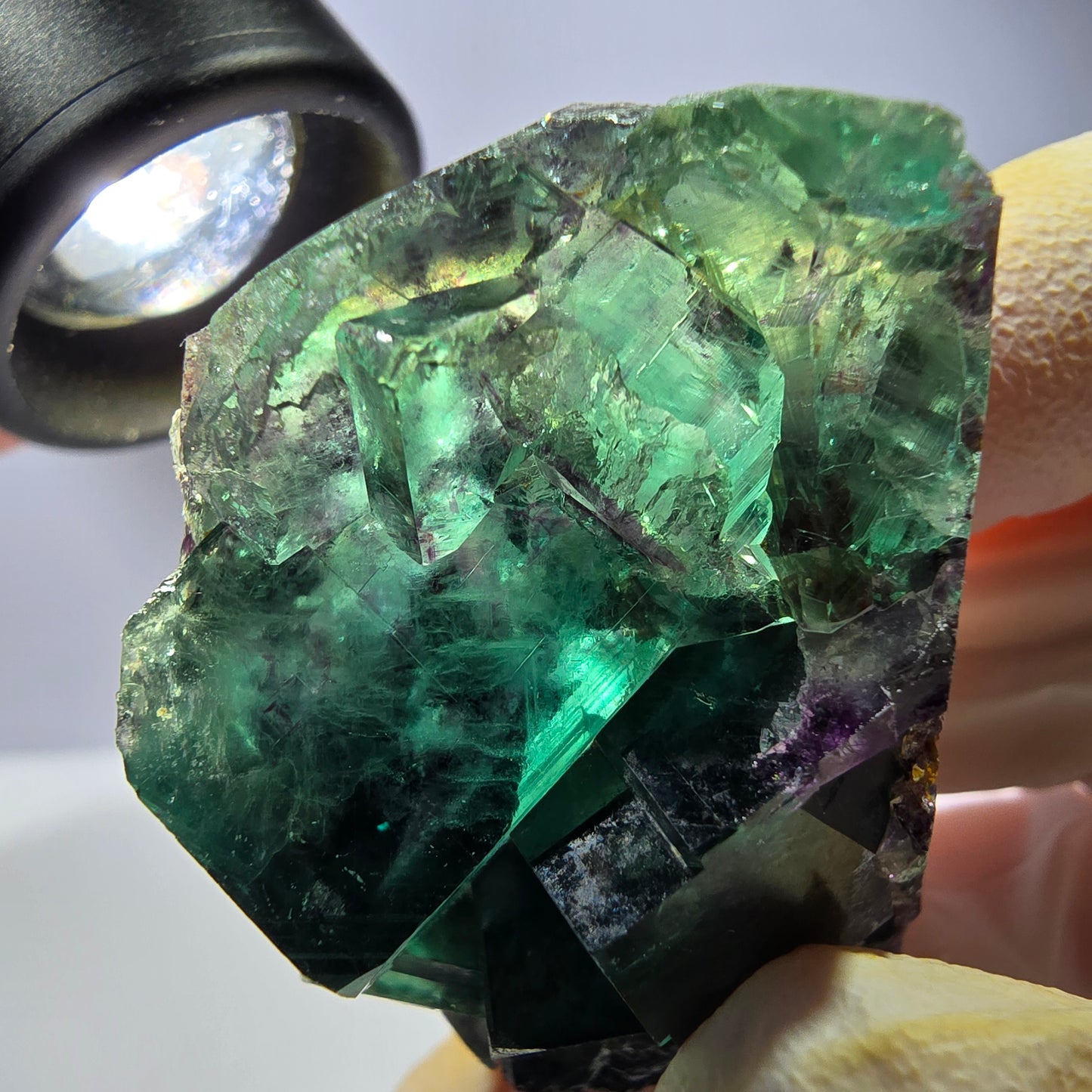 Spécimen de cube de fluorite fantôme, parqueté vert violet Okorusu, Namibie 49*31*21 mm