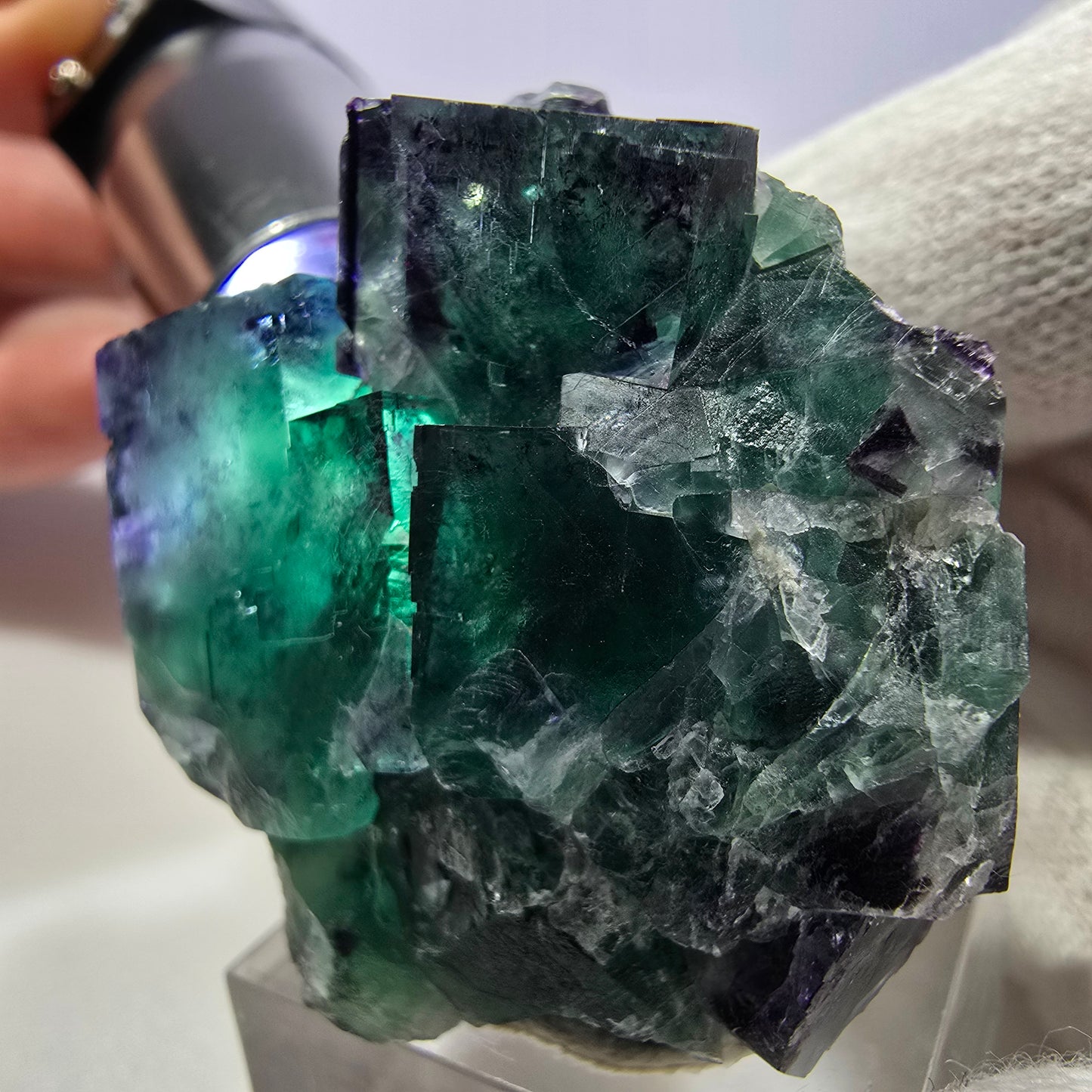 Spécimen de cube de fluorite fantôme transparente, vert-violet zonal, Okorusu, Namibie, 47 x 43 x 31 mm