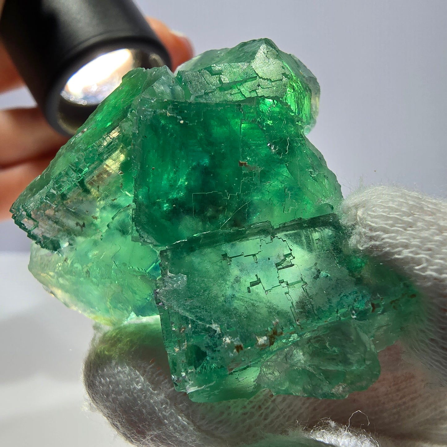 Rare spécimen de cube de fluorite fantôme, parqueté vert Okorusu, Namibie, 47 x 42 x 25 mm