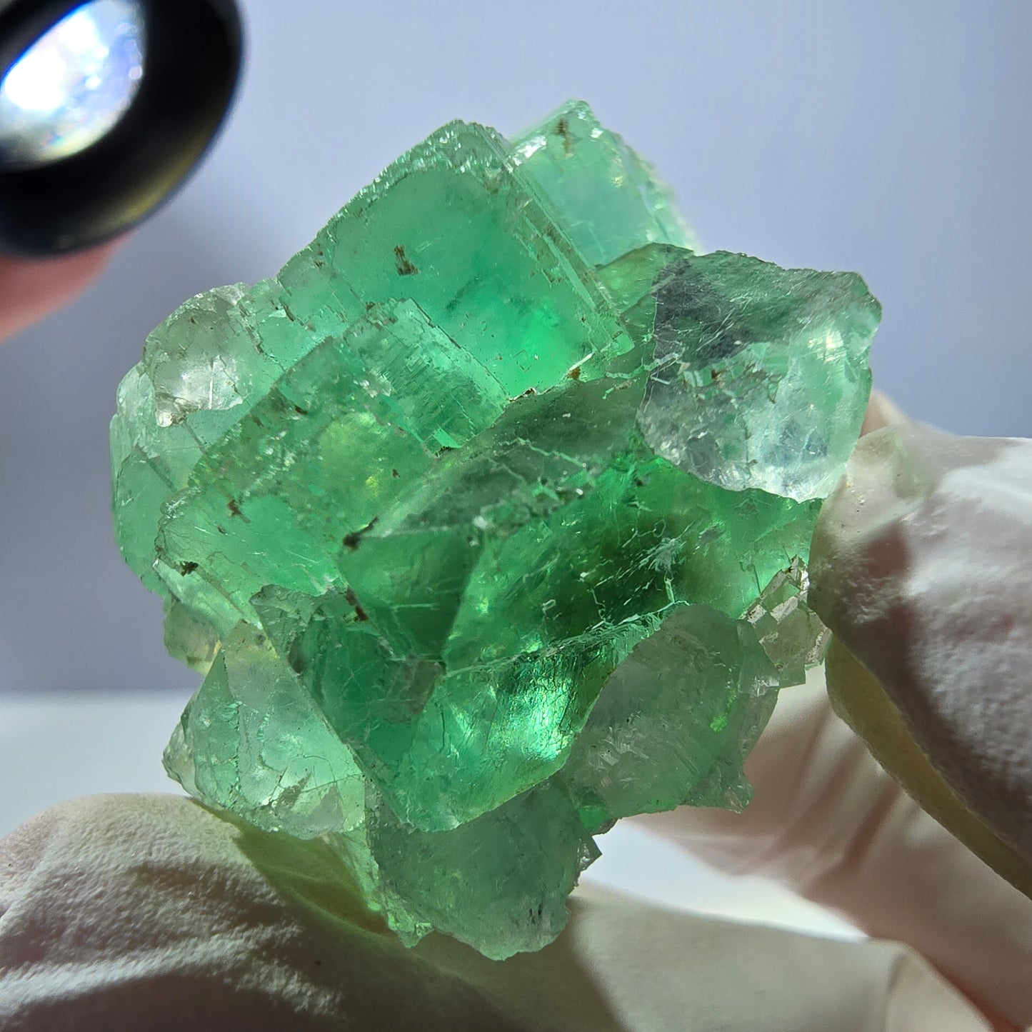 Spécimen de cube de fluorite fantôme transparente, vert parqueté, Okorusu, Namibie, 46 x 35 x 21 mm