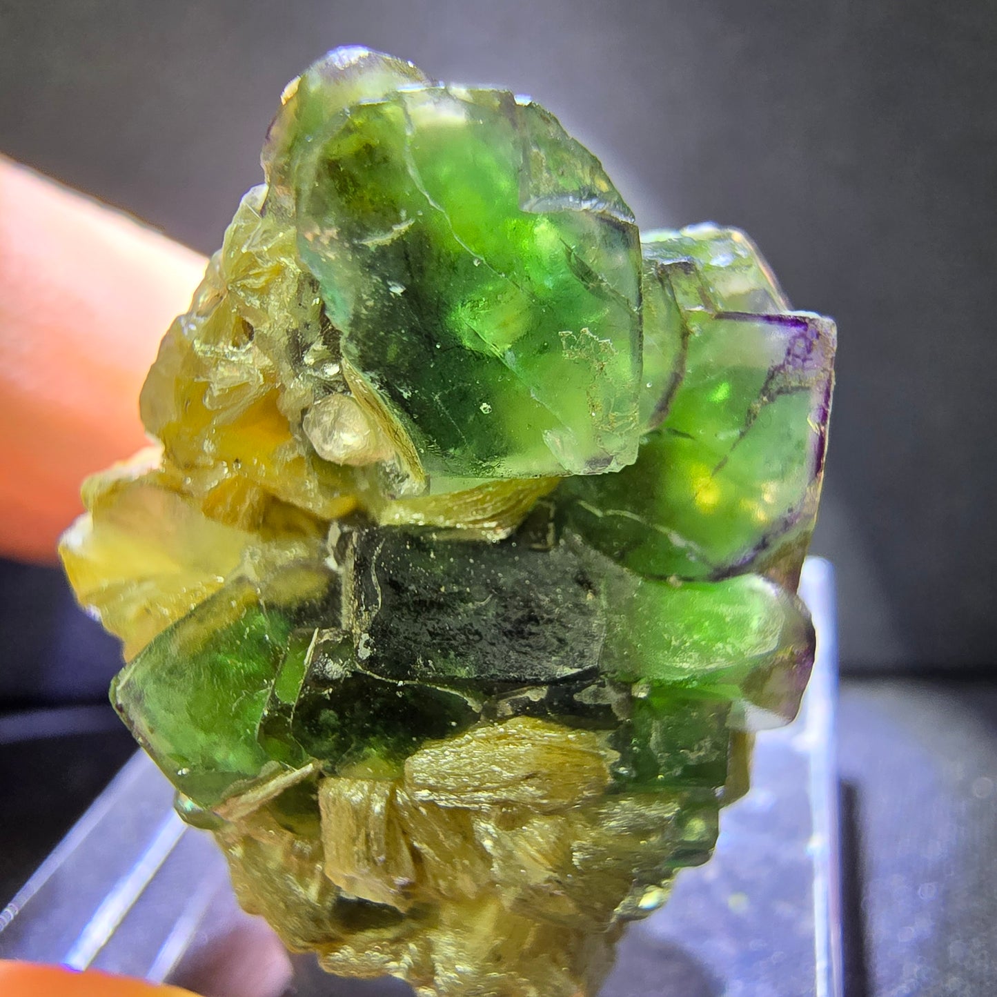 Klare Fluorit mit Muskovit grün 27*23*19mm Erongo, Namibia Mineraliensammlung