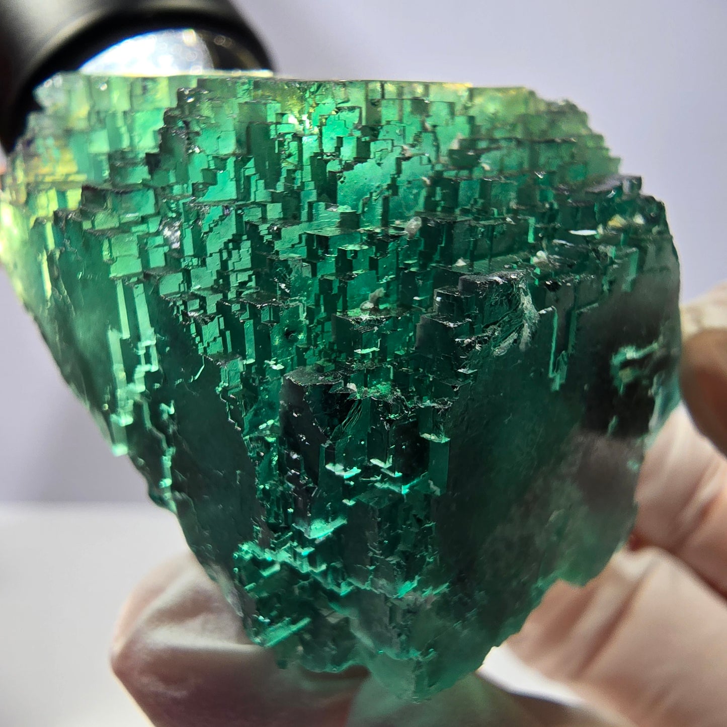 Spécimen de cube de fluorite fantôme transparente, vert parqueté, Okorusu, Namibie, 52 x 49 x 41 mm