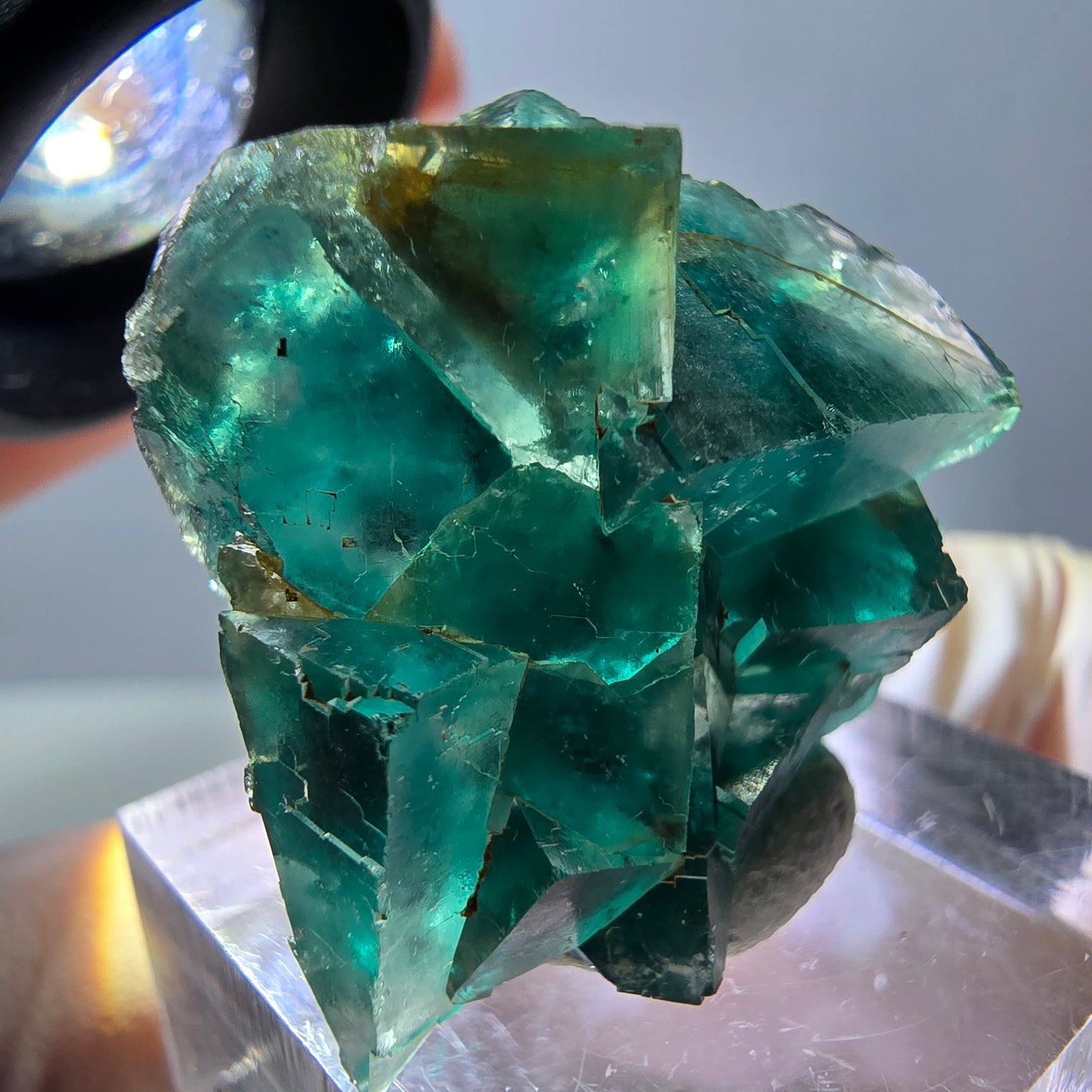 Spécimen de cube de fluorite fantôme, parquet vert Okorusu, Namibie 29*25*15 mm